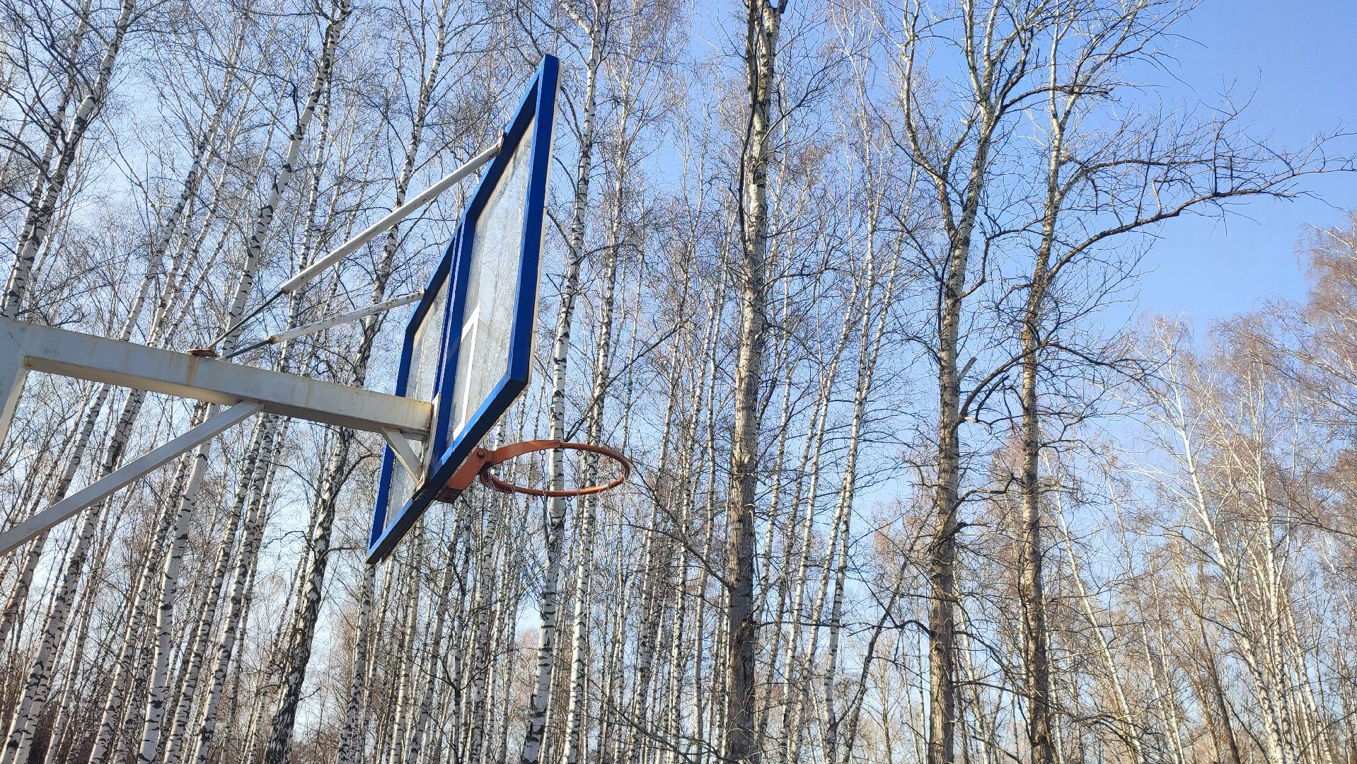 Кашира, парк, баскетбол