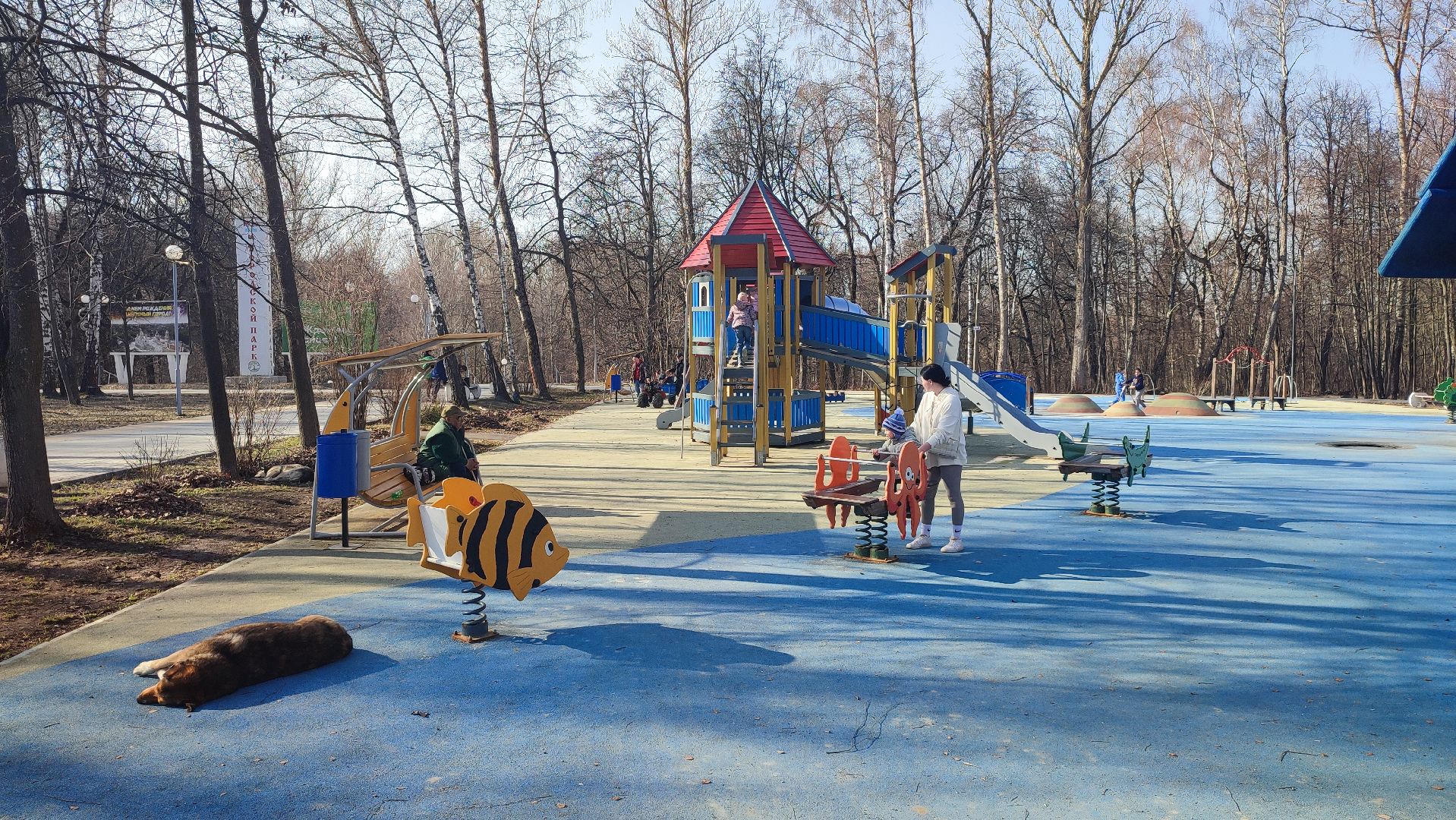 Кашира, парк, баскетбол