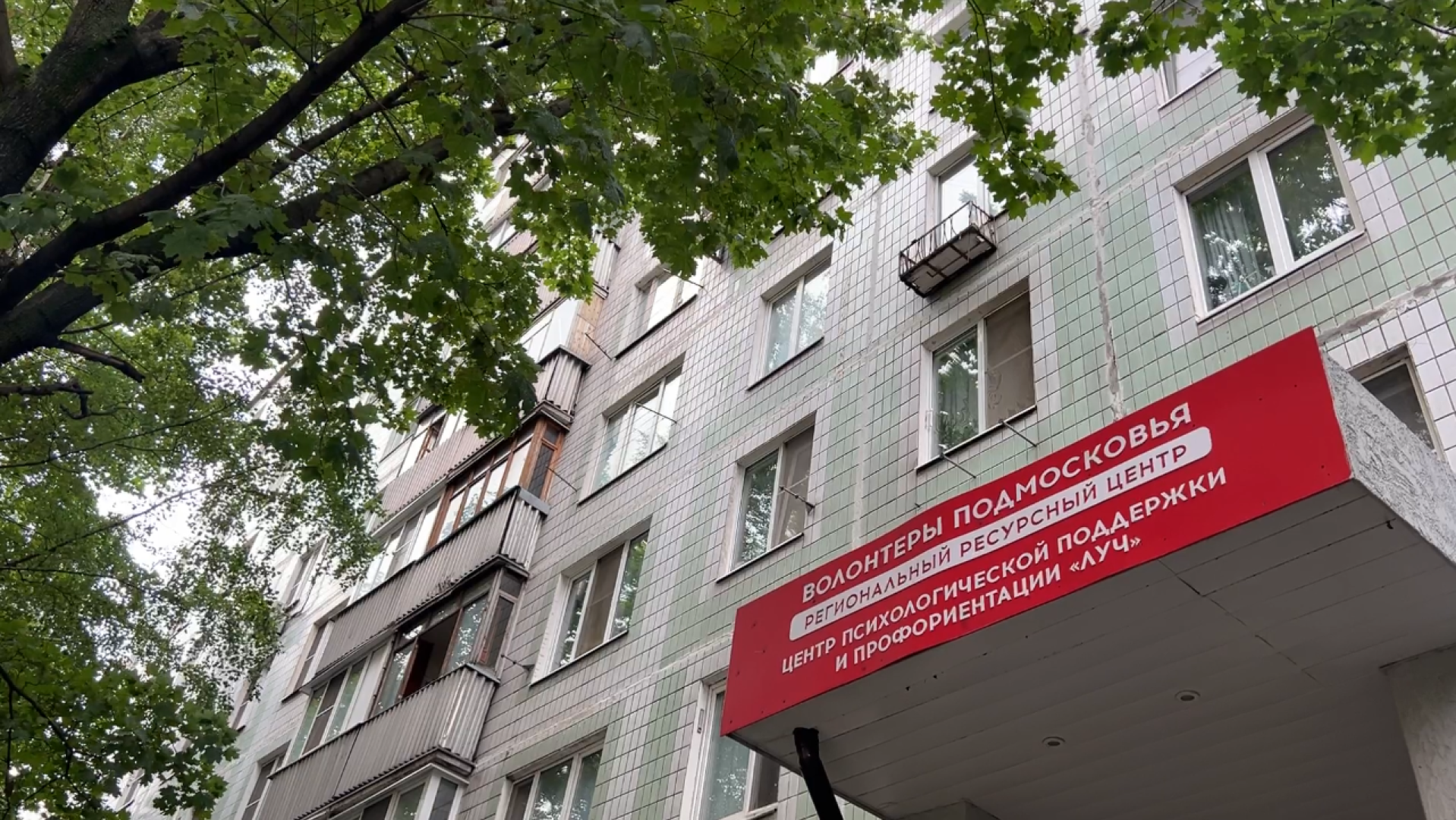 химки, образование, патриотический проект, патриотическое мероприятие,