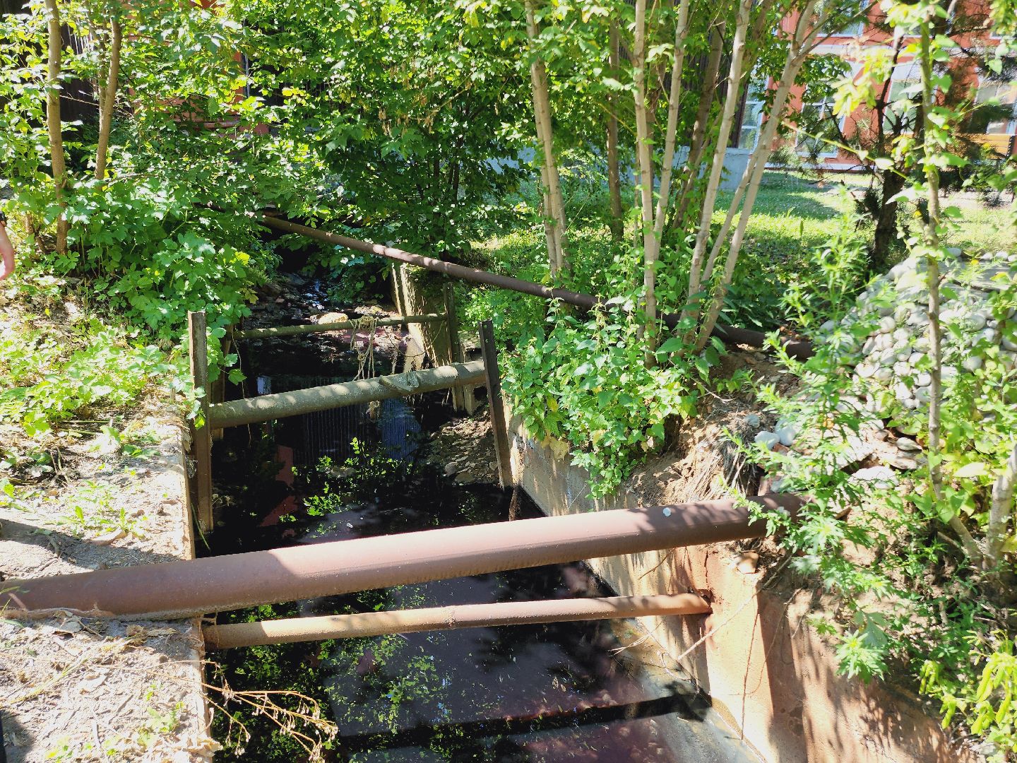 Егорьевск, Экология, Подмосковье, Московская область,