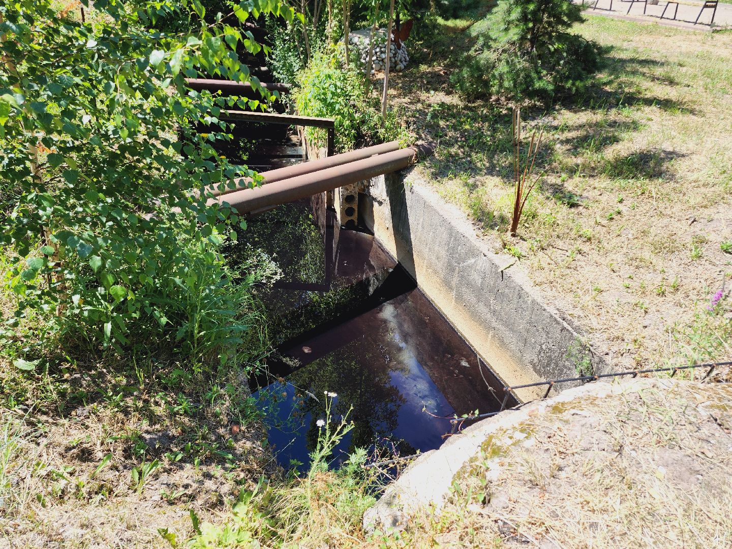 Егорьевск, Экология, Подмосковье, Московская область,