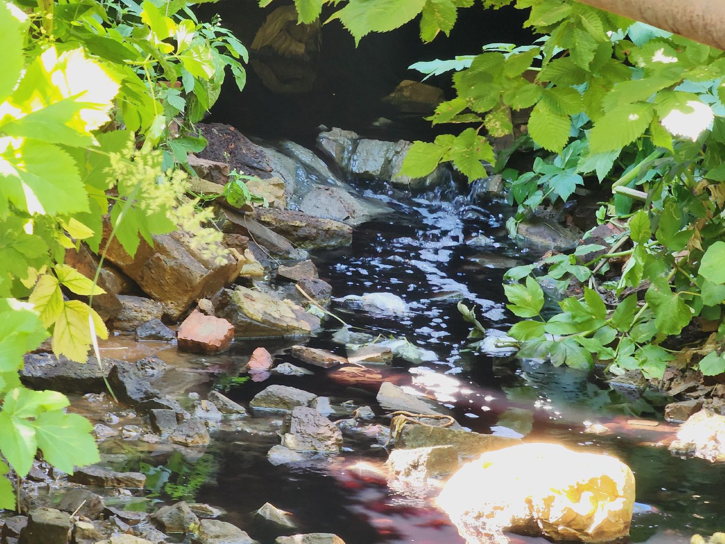 Егорьевск, Экология, Подмосковье, Московская область,