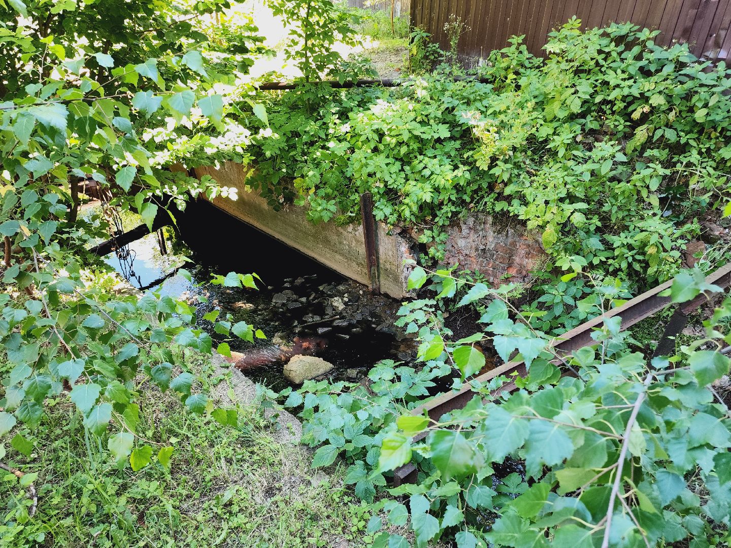 Егорьевск, Экология, Подмосковье, Московская область,