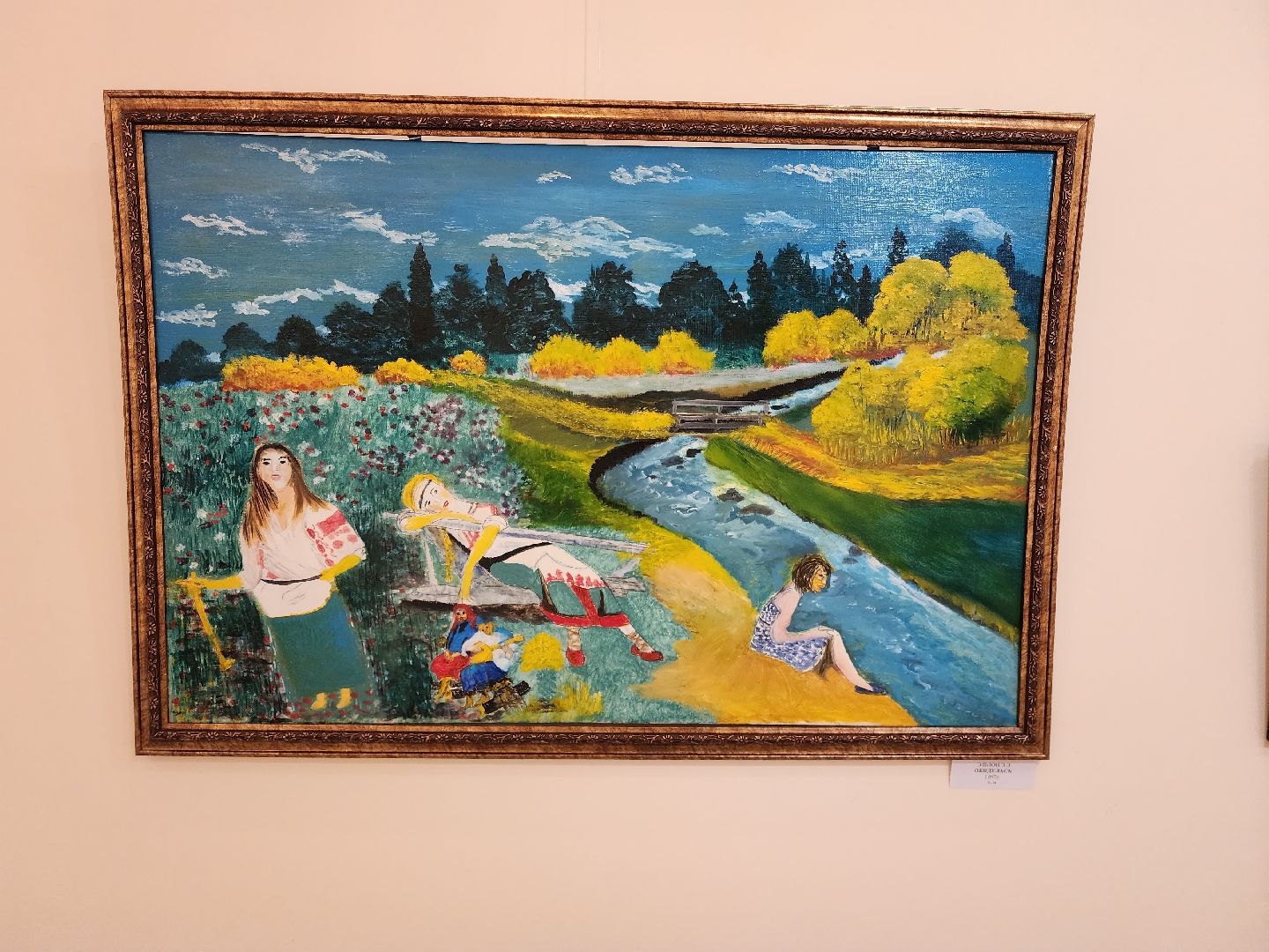 раменское, культура, раменский историко-художественный музей, выставка наивного искусства,