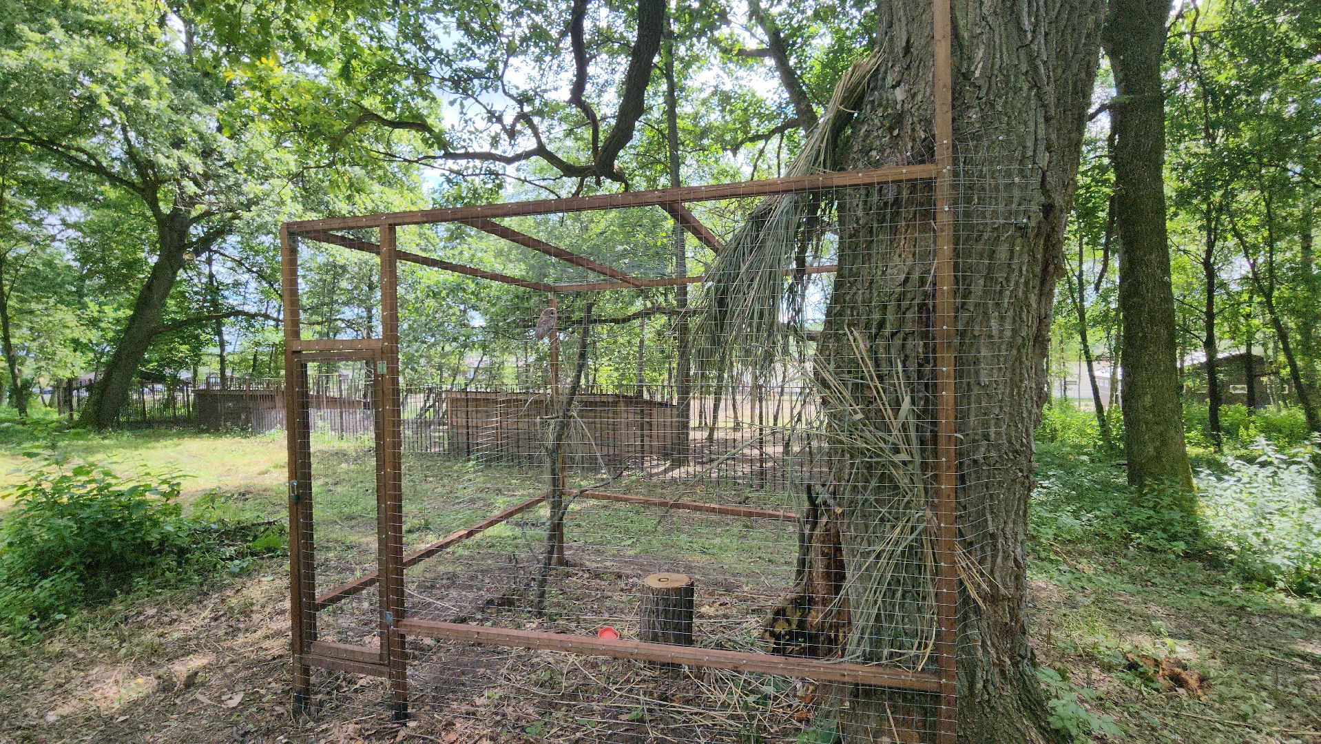 серпухов, подмосковье, бунин ручей, экоферма, спасли сову,