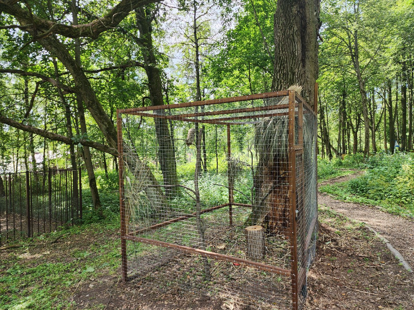 серпухов, подмосковье, бунин ручей, экоферма, спасли сову,