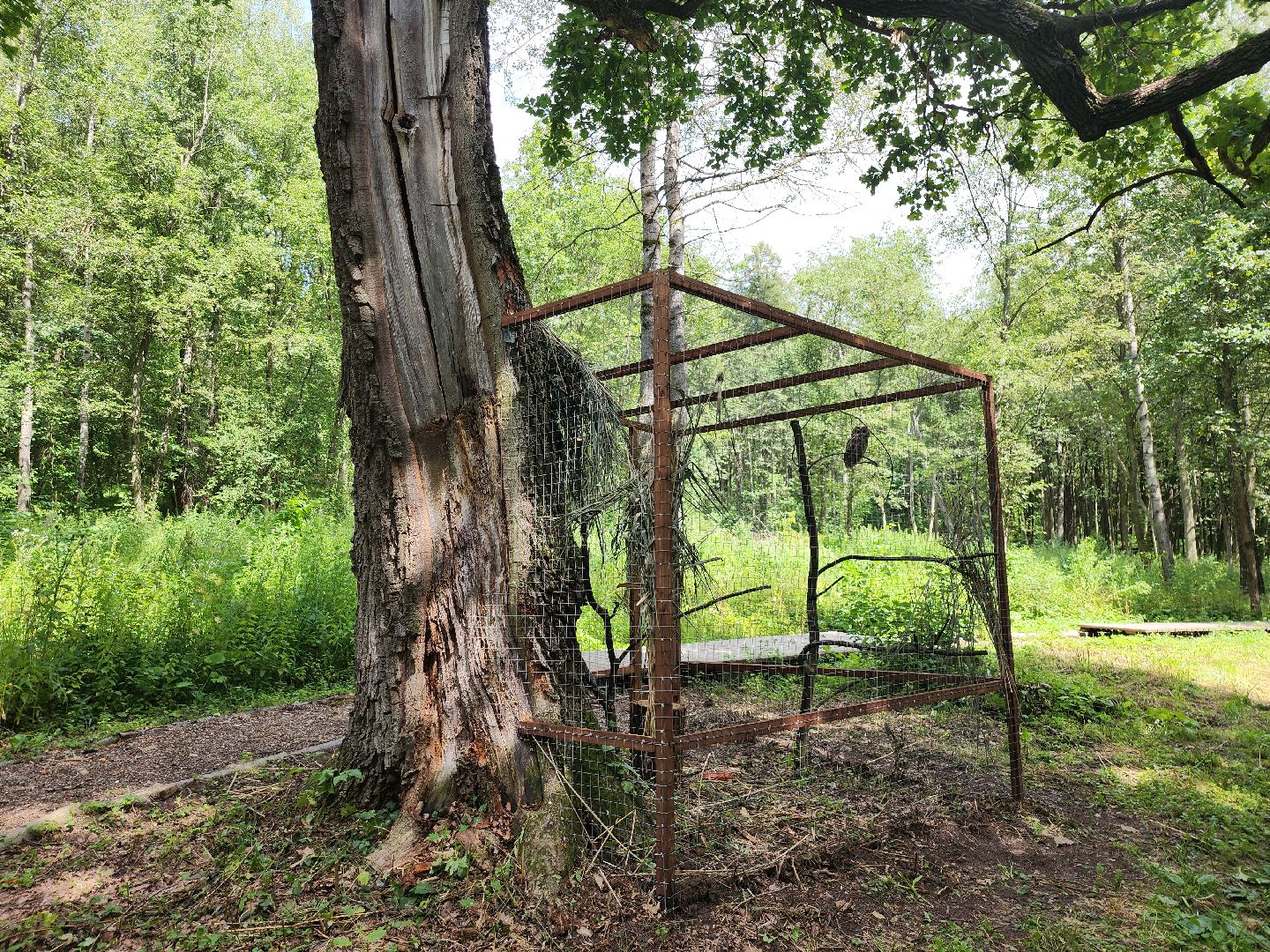 серпухов, подмосковье, бунин ручей, экоферма, спасли сову,