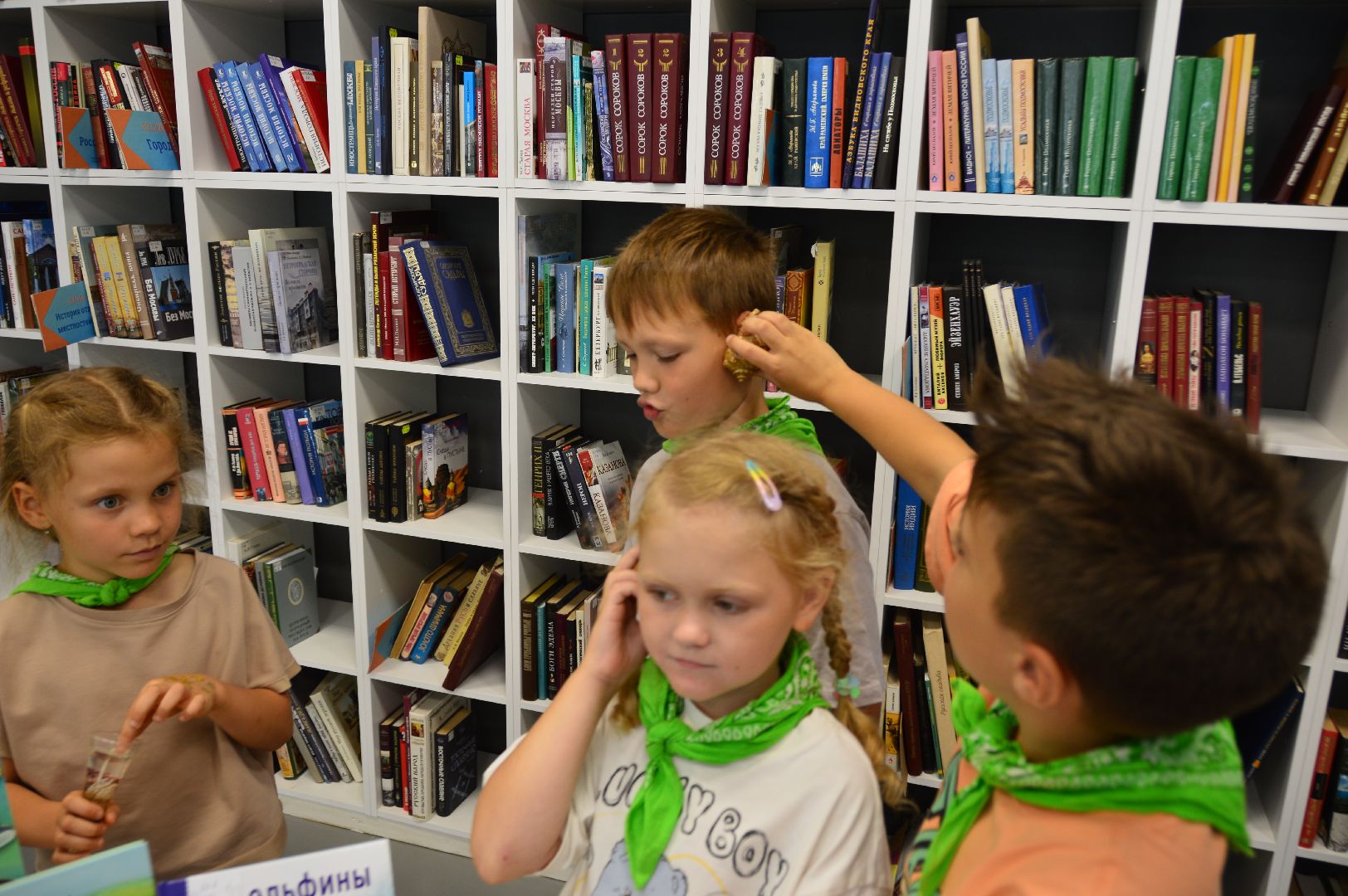 шатура, международный день дельфинов, культурная шатура, библиотекарь,