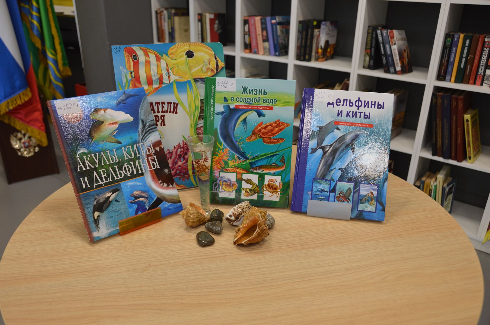 шатура, международный день дельфинов, культурная шатура, библиотекарь,