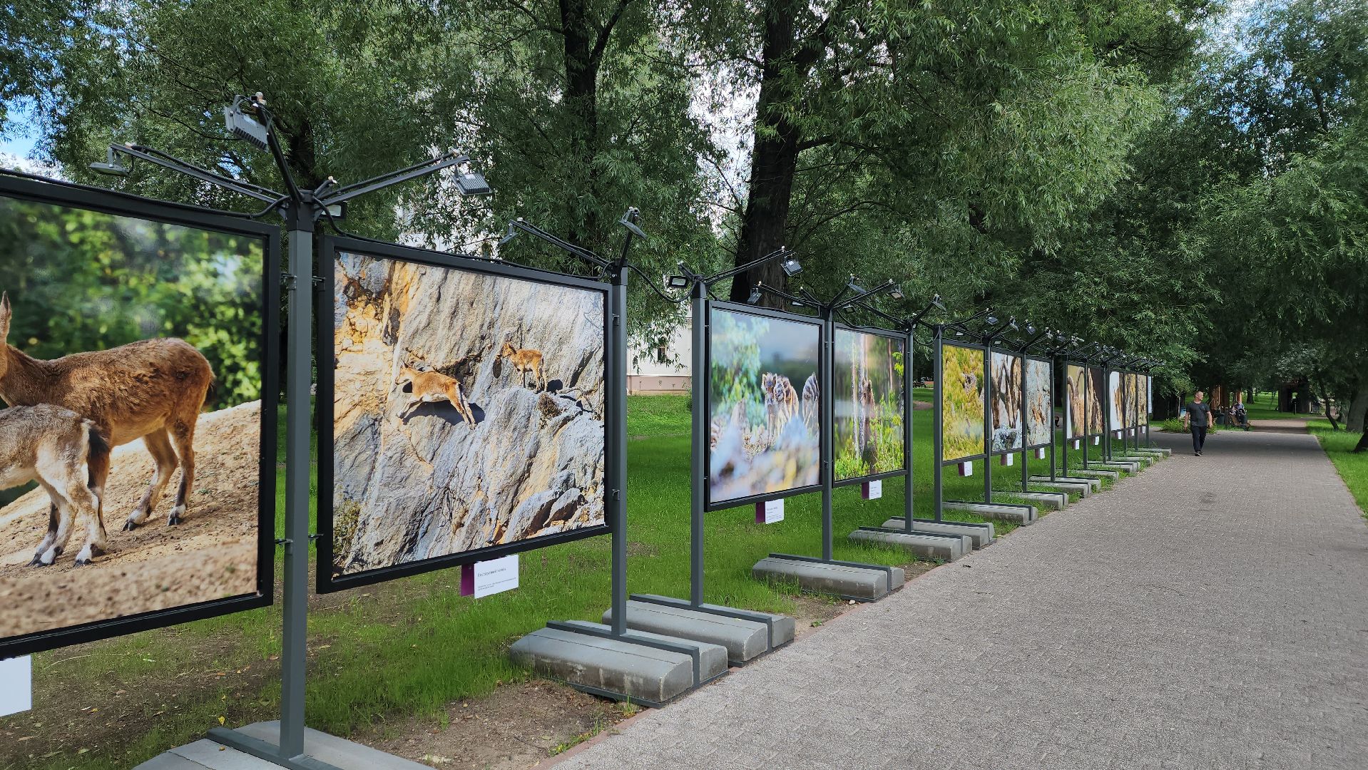 бракосочетание, госуслуги, выездная регистрация брака,