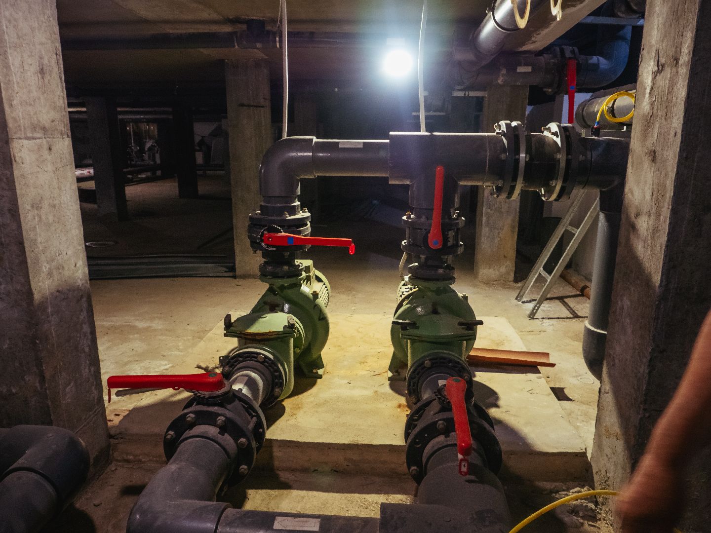 подмосковье, истра, бассейн, профилактика,