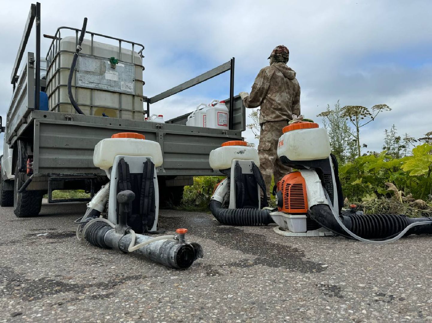 можайск, можайский городской округ, подмосковье, борщевик, борщевик сосновского, борьба с борщевиком, экология,