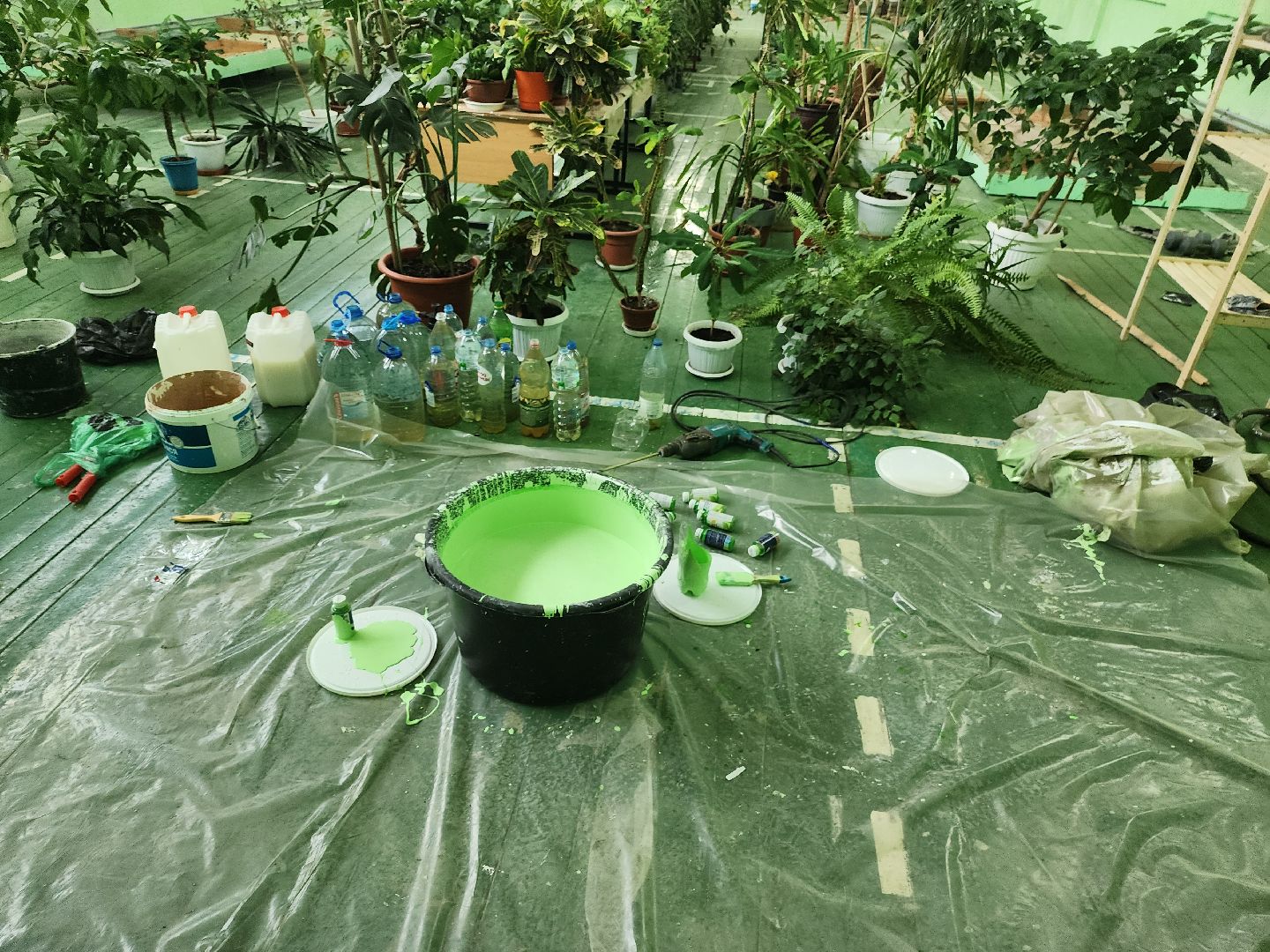 долгопрудный, Микрорайон Шереметьевский, ремонт, школы, день знаний,владислав юдин,