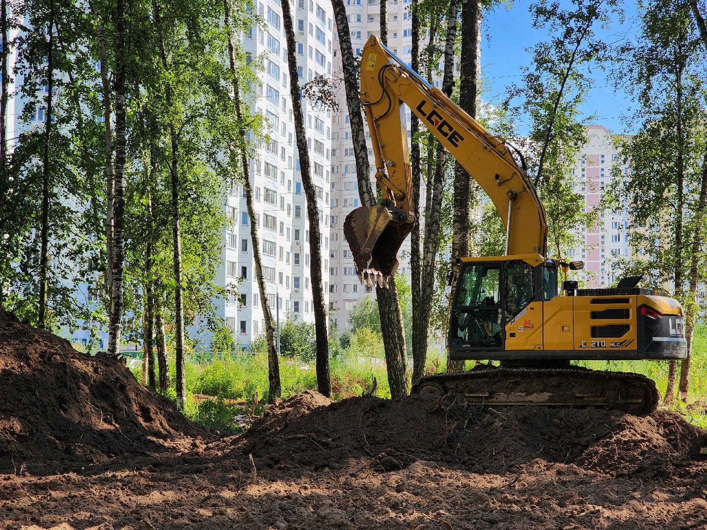 Чехов, микрорайон Губернский, строительство, лесопарк, лесопарковая зона отдыха, благоустройство, программа Парки в лесу, губернатор Московской области Андрей Воробьев, глава администрации го Чехов Михаил Собакин,