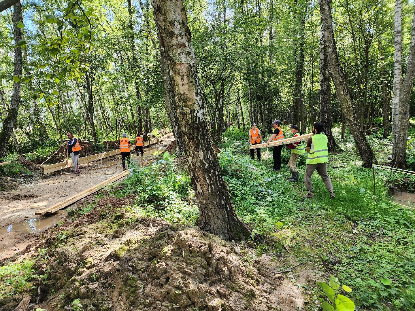 Чехов, микрорайон Губернский, строительство, лесопарк, лесопарковая зона отдыха, благоустройство, программа Парки в лесу, губернатор Московской области Андрей Воробьев, глава администрации го Чехов Михаил Собакин,