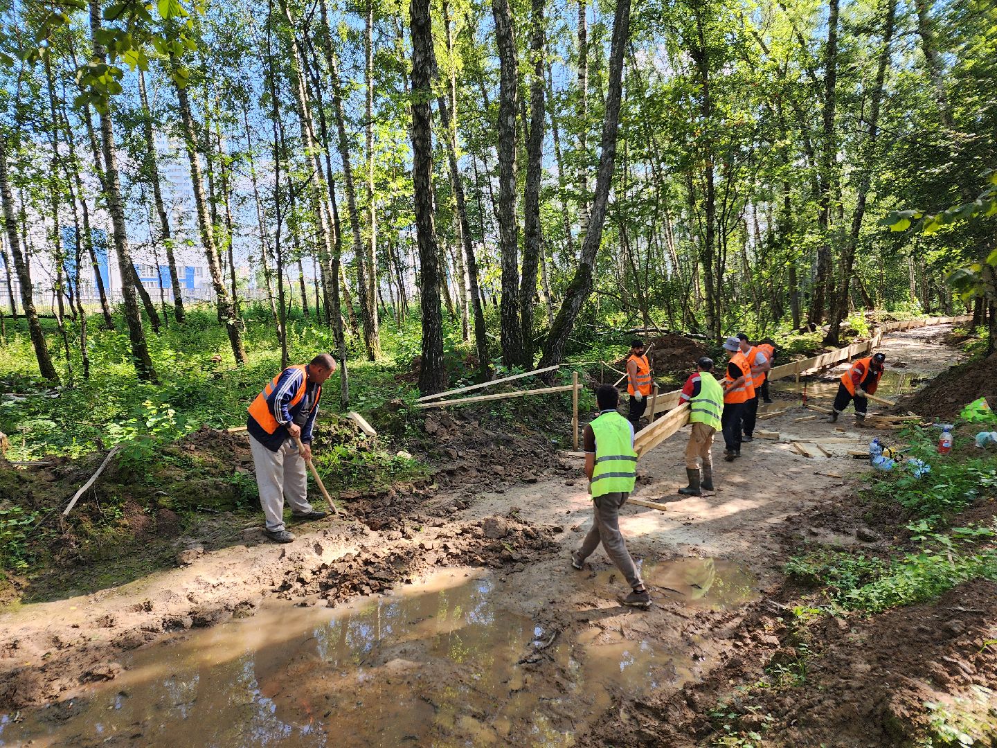 Чехов, микрорайон Губернский, строительство, лесопарк, лесопарковая зона отдыха, благоустройство, программа Парки в лесу, губернатор Московской области Андрей Воробьев, глава администрации го Чехов Михаил Собакин,
