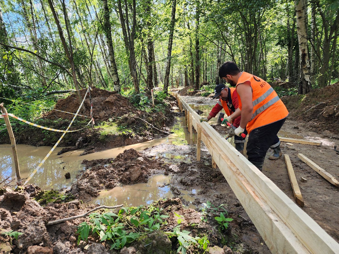 Чехов, микрорайон Губернский, строительство, лесопарк, лесопарковая зона отдыха, благоустройство, программа Парки в лесу, губернатор Московской области Андрей Воробьев, глава администрации го Чехов Михаил Собакин,