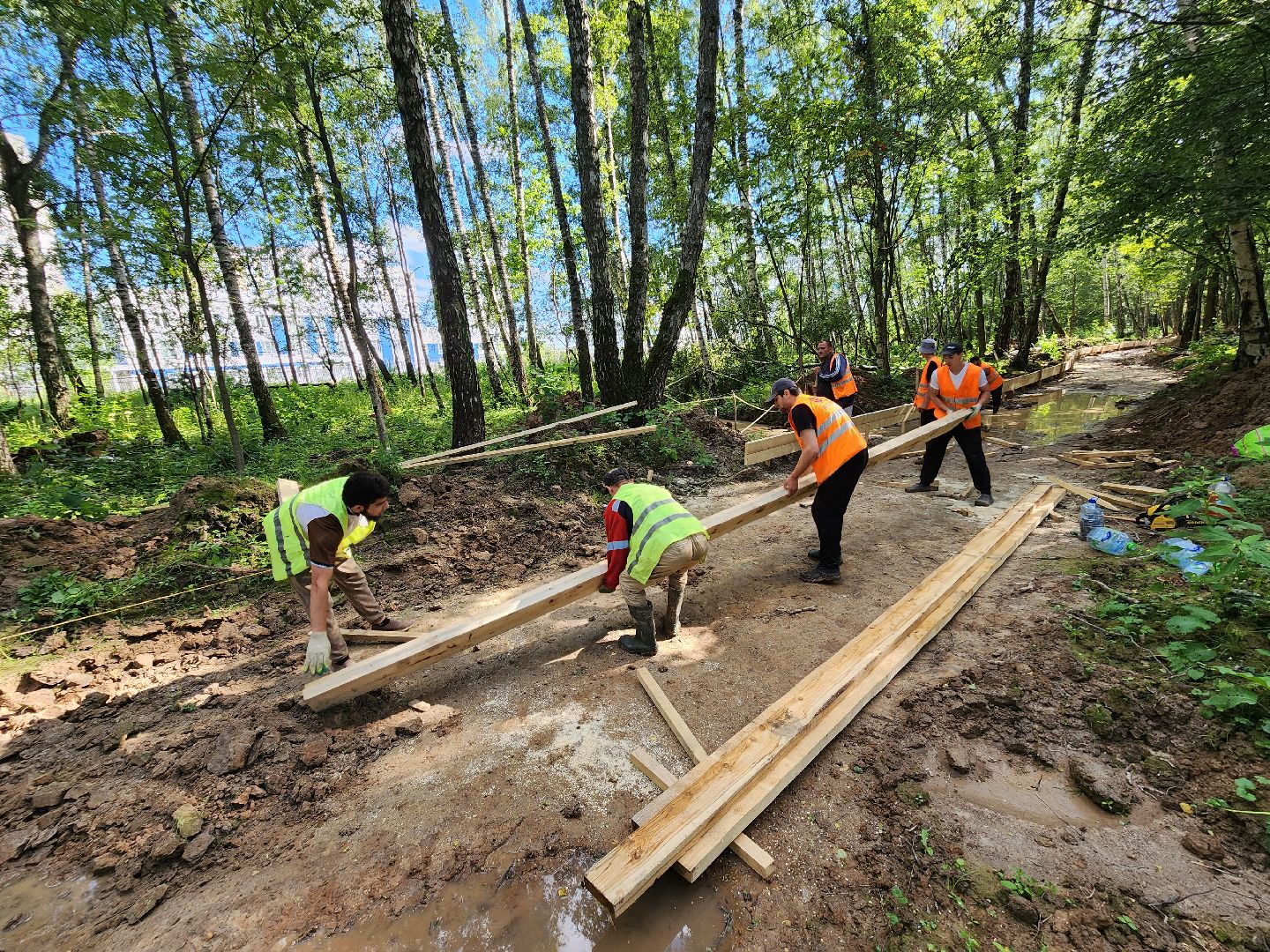 Чехов, микрорайон Губернский, строительство, лесопарк, лесопарковая зона отдыха, благоустройство, программа Парки в лесу, губернатор Московской области Андрей Воробьев, глава администрации го Чехов Михаил Собакин,