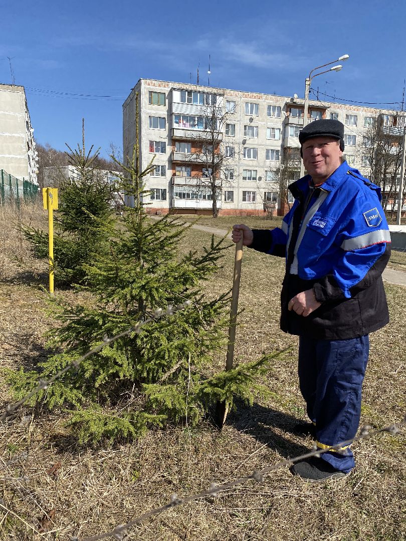 Чехов, благоустройство, перемены, житель, аллея