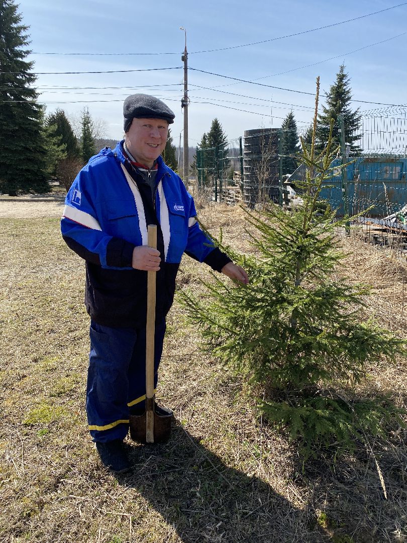 Чехов, благоустройство, перемены, житель, аллея