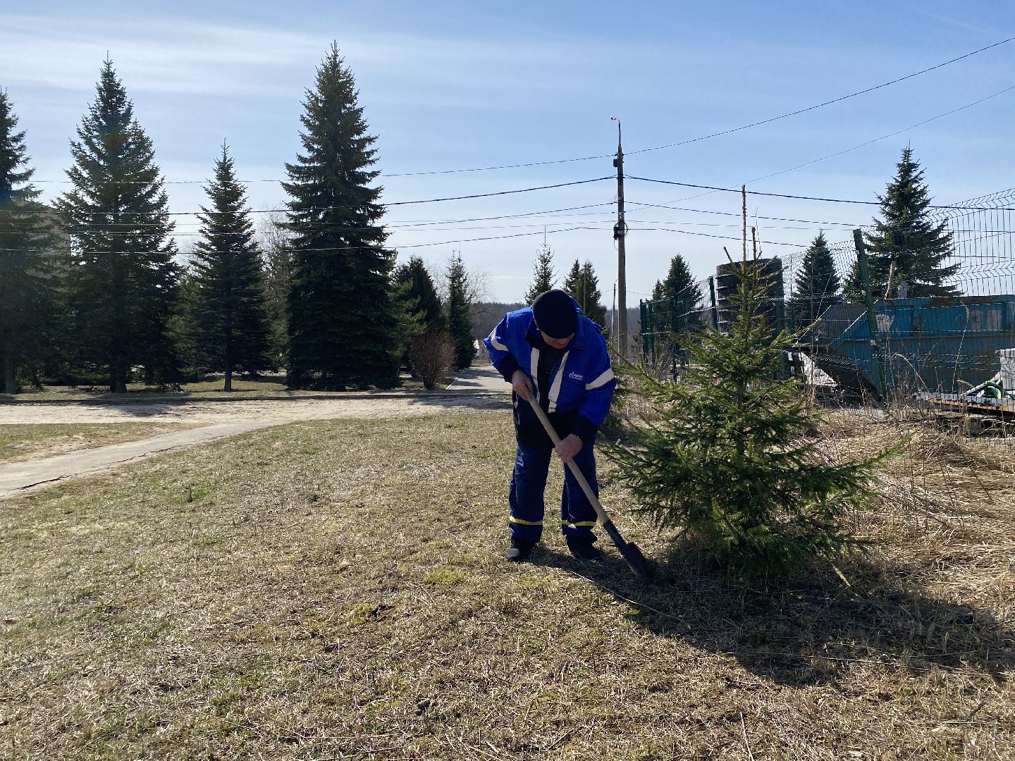 Чехов, благоустройство, перемены, житель, аллея