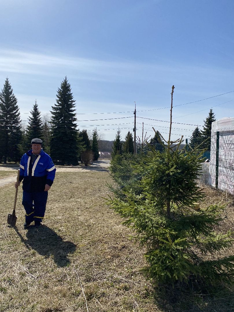 Чехов, благоустройство, перемены, житель, аллея