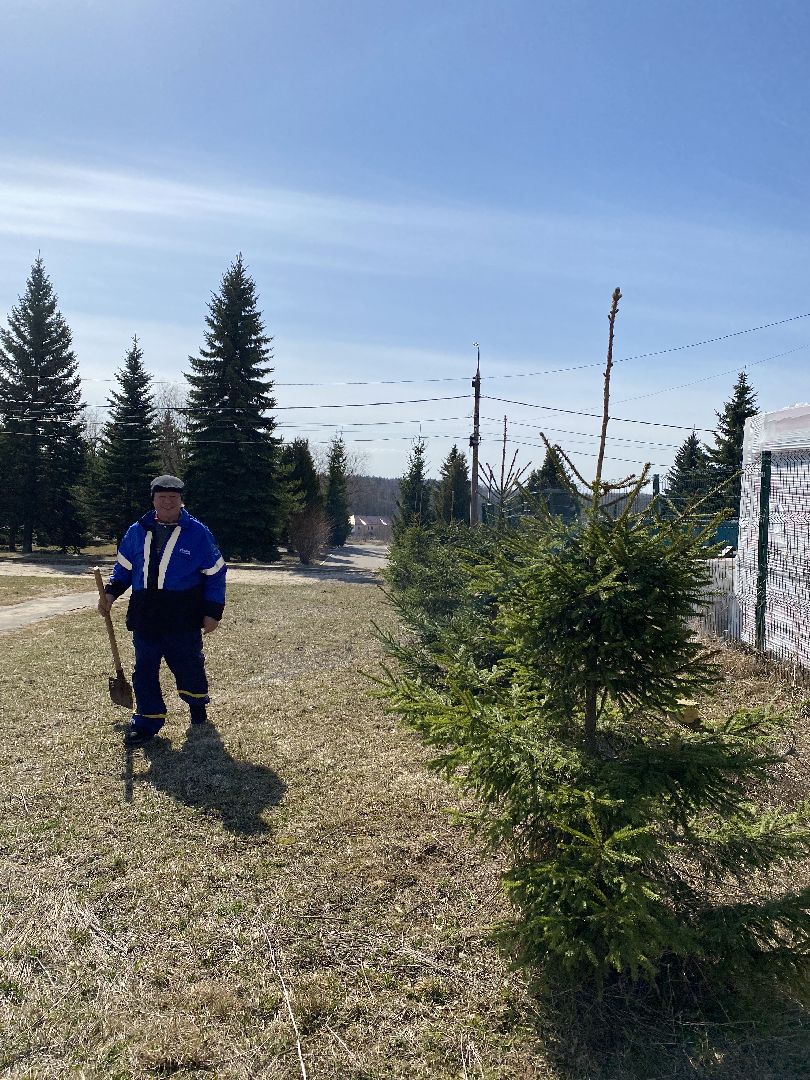 Чехов, благоустройство, перемены, житель, аллея