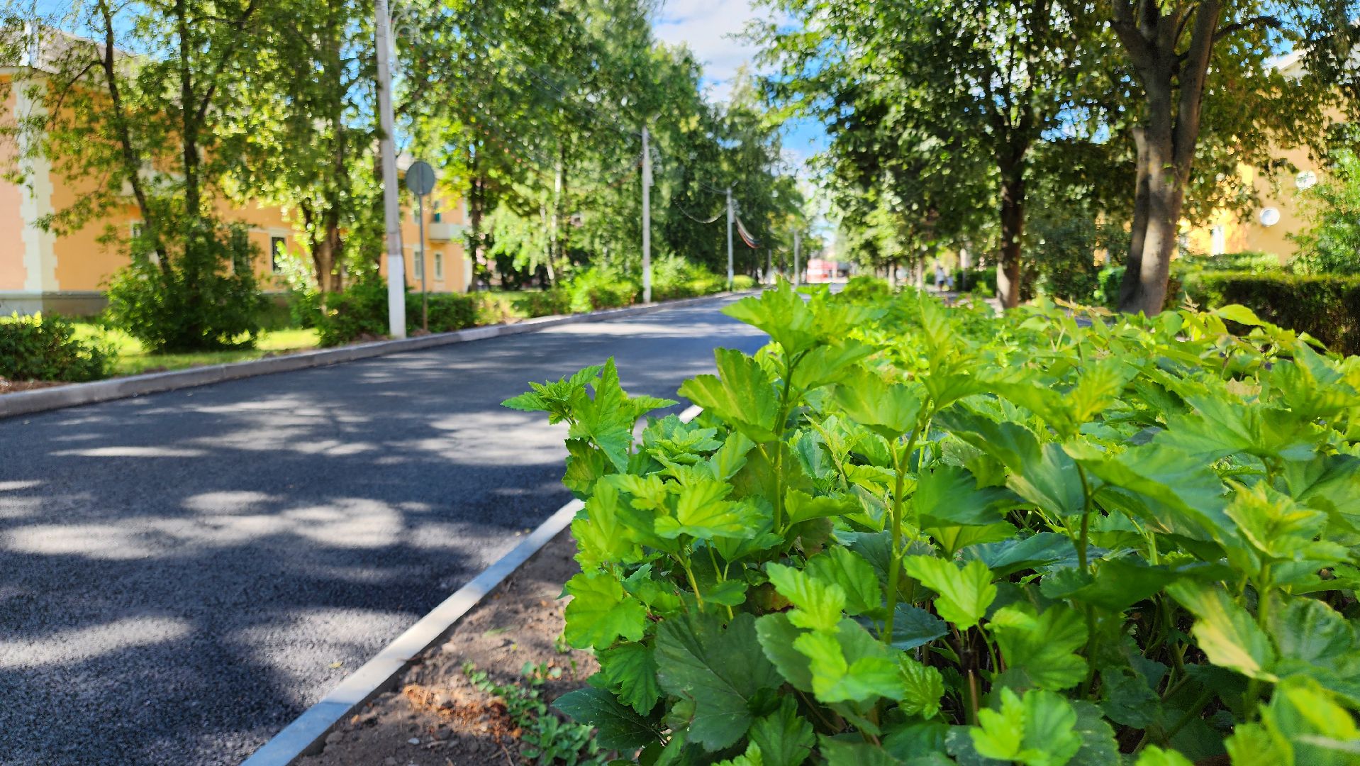 кашира, ожерелье, ул советская, ремонт дорог, асфальтирование дорог, бордюр, тротуар, урны,