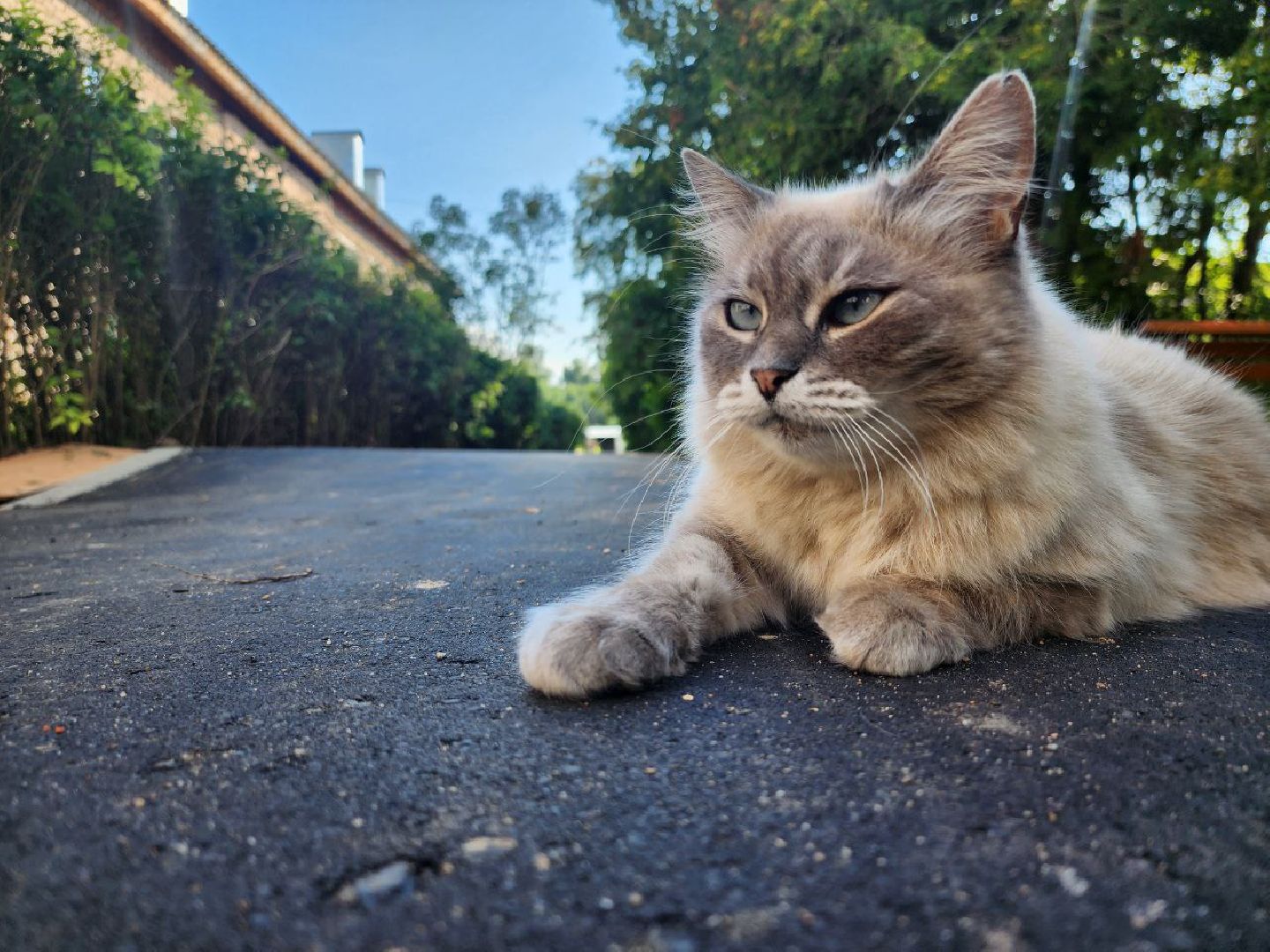 можайск, можайский городской округ, Подмосковье, благоустройство, благоустройство дворов, дворовые территории, детские площадки, дворы,