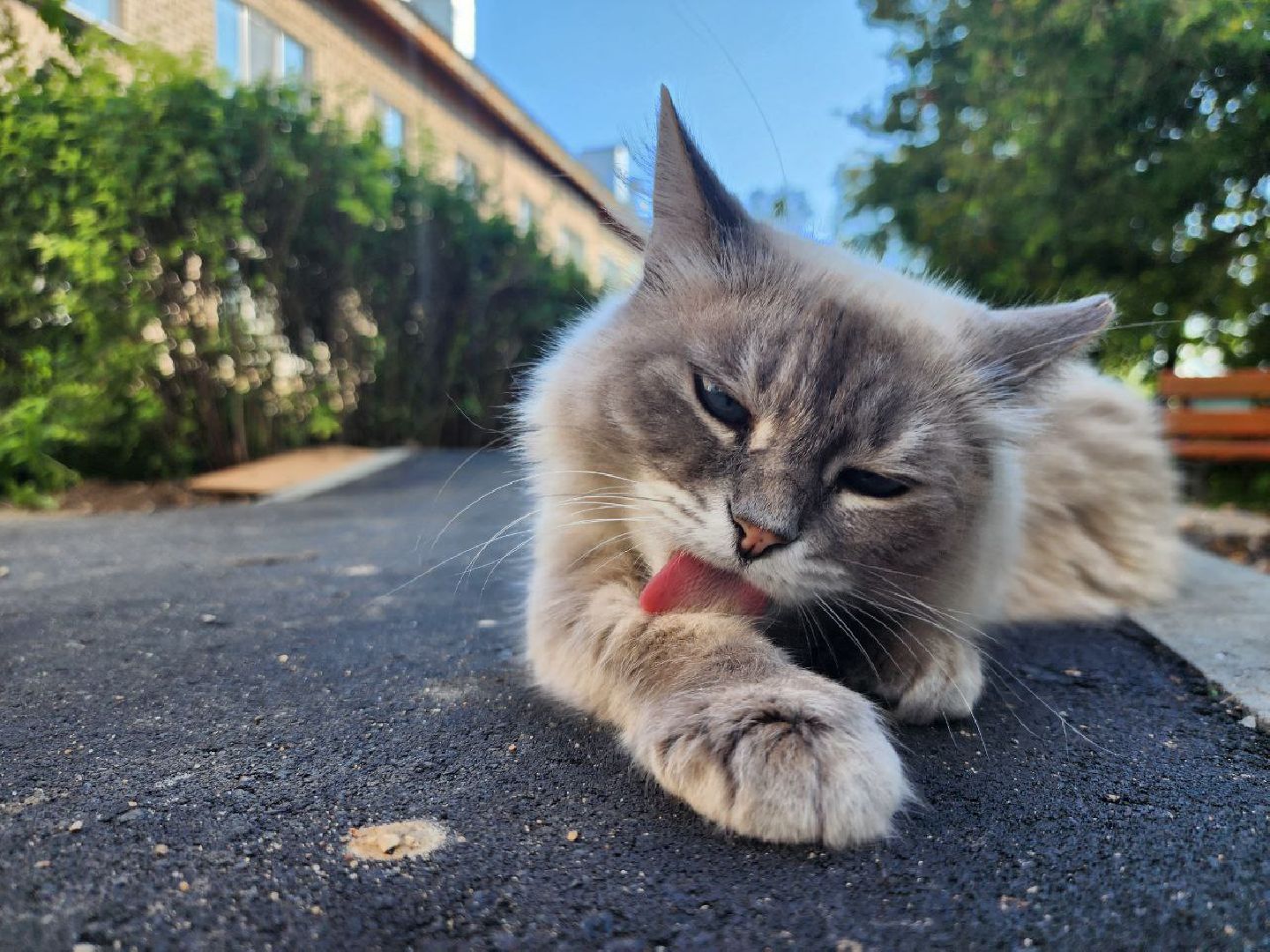 можайск, можайский городской округ, Подмосковье, благоустройство, благоустройство дворов, дворовые территории, детские площадки, дворы,