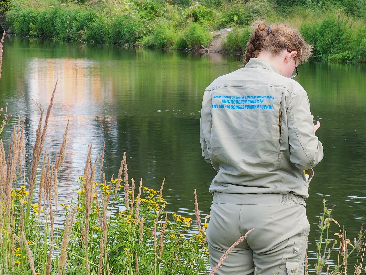 Егорьевск, Подмосковье, Московская область, Смородинка, экология,
