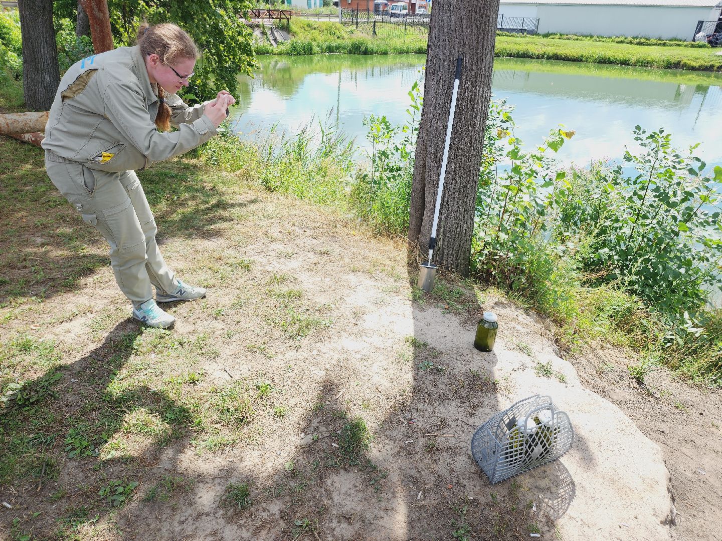 Егорьевск, Подмосковье, Московская область, Смородинка, экология,
