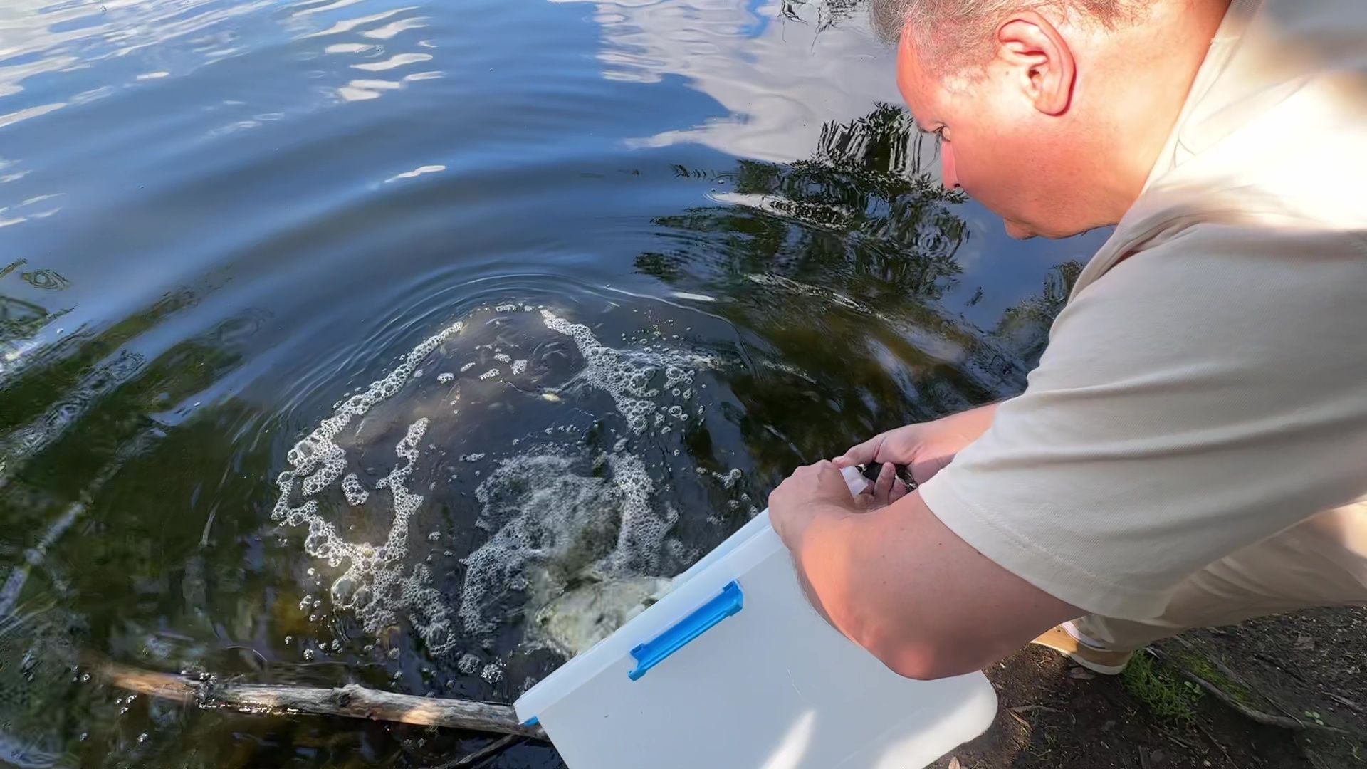 Реутов, карпы, рыбы, пруд, парк, переезд,