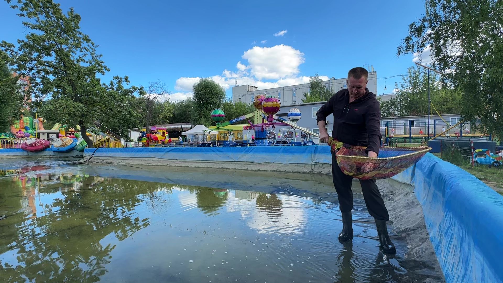 Реутов, карпы, рыбы, пруд, парк, переезд,