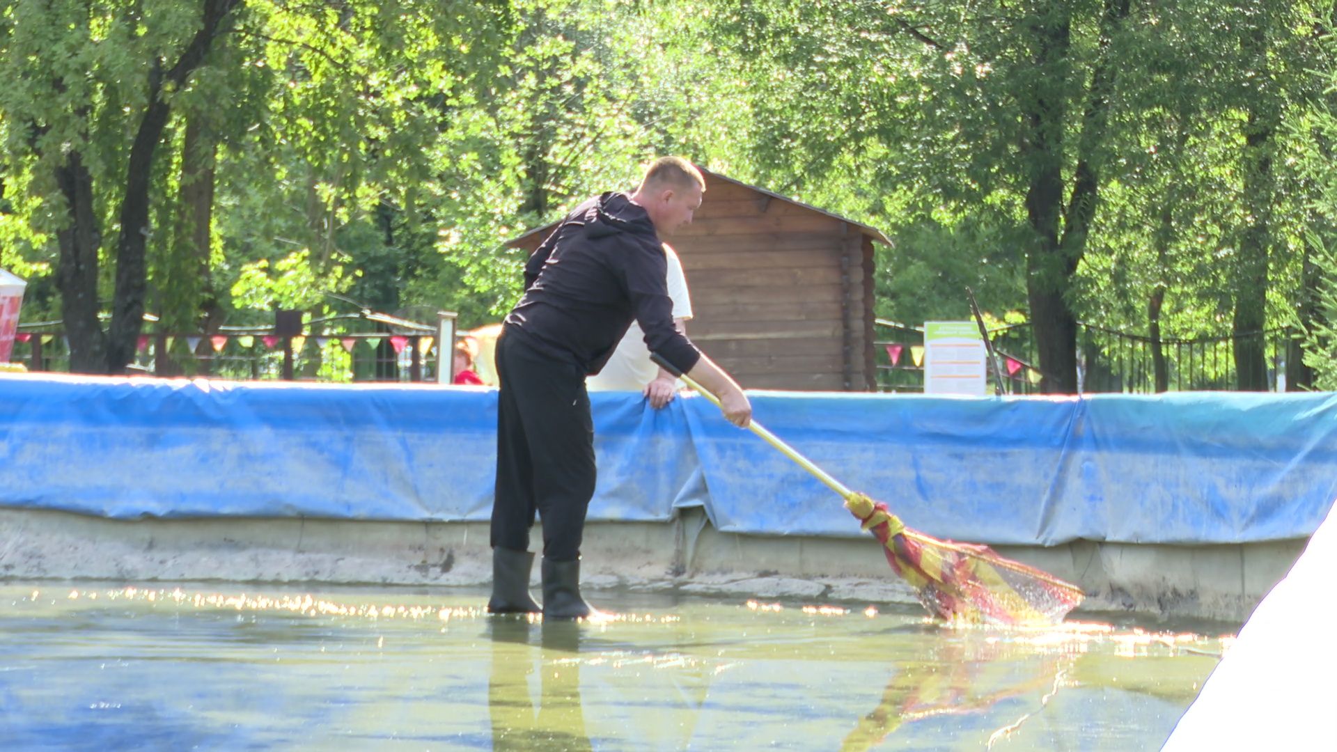 Реутов, карпы, рыбы, пруд, парк, переезд,