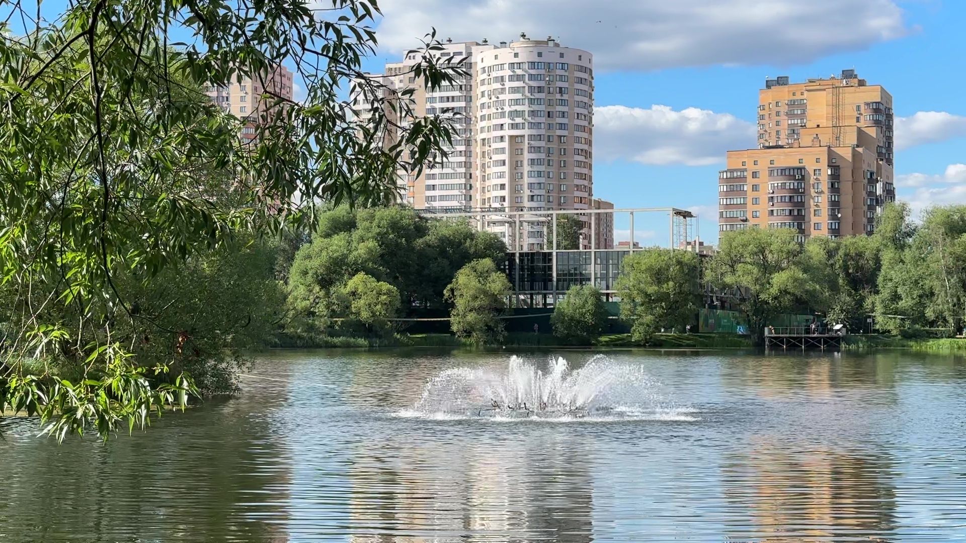 Реутов, карпы, рыбы, пруд, парк, переезд,