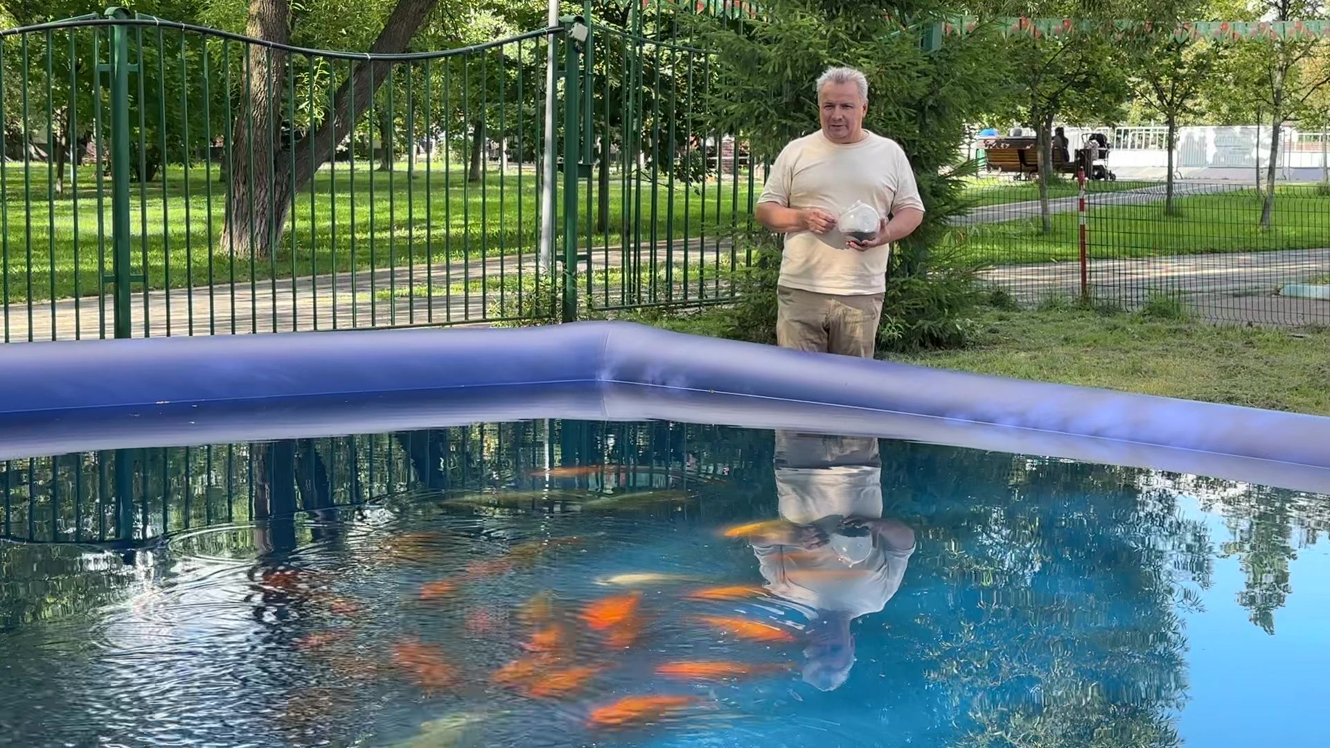 Реутов, карпы, рыбы, пруд, парк, переезд,