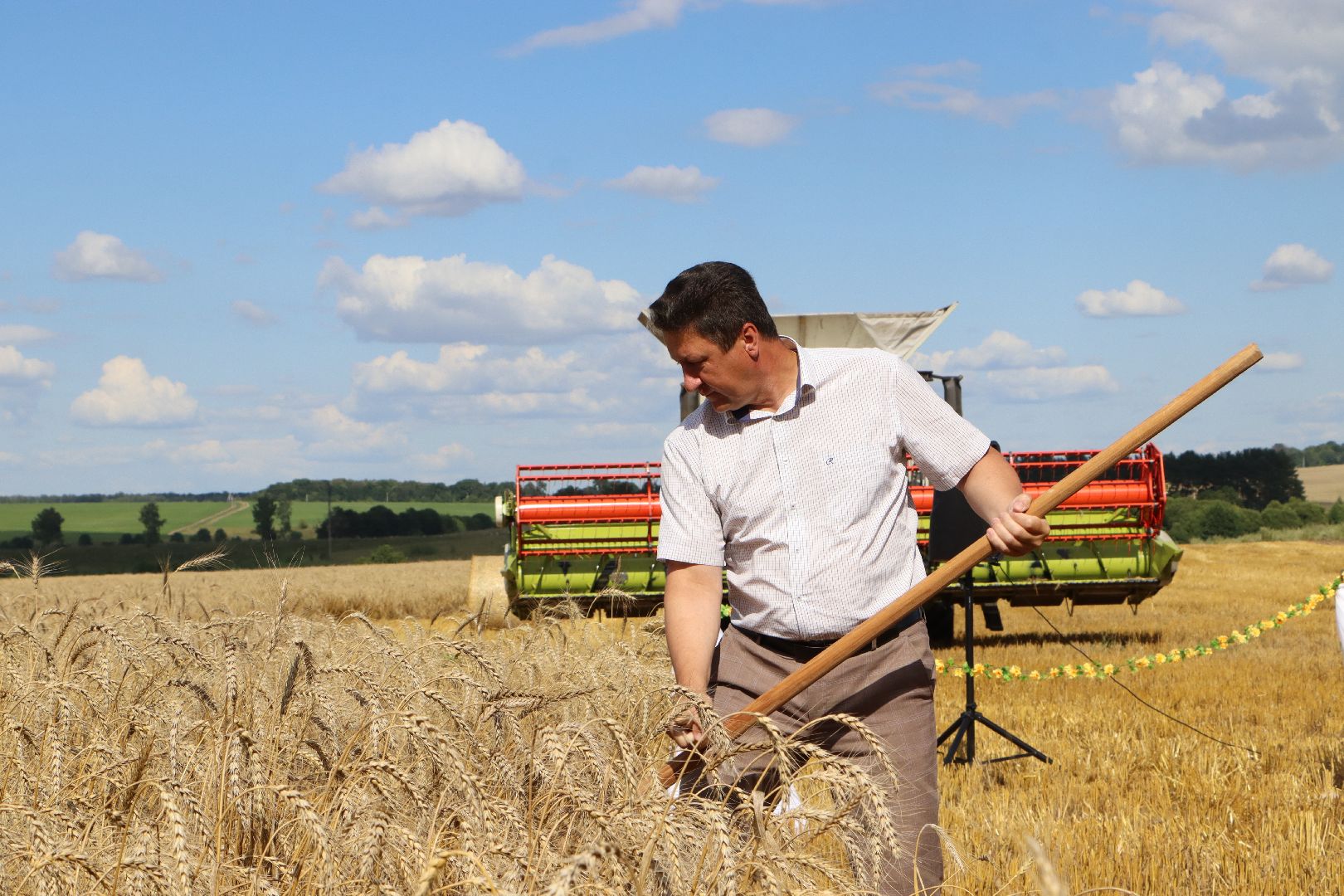 уборочная 2024, урожай 2024, Праздник Первого снопа, Серебряные Пруды, Коровино, СП Нива,