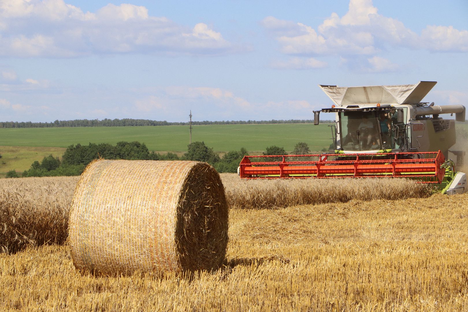 уборочная 2024, урожай 2024, Праздник Первого снопа, Серебряные Пруды, Коровино, СП Нива,