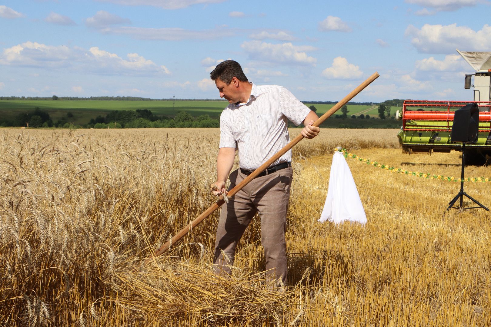 уборочная 2024, урожай 2024, Праздник Первого снопа, Серебряные Пруды, Коровино, СП Нива,