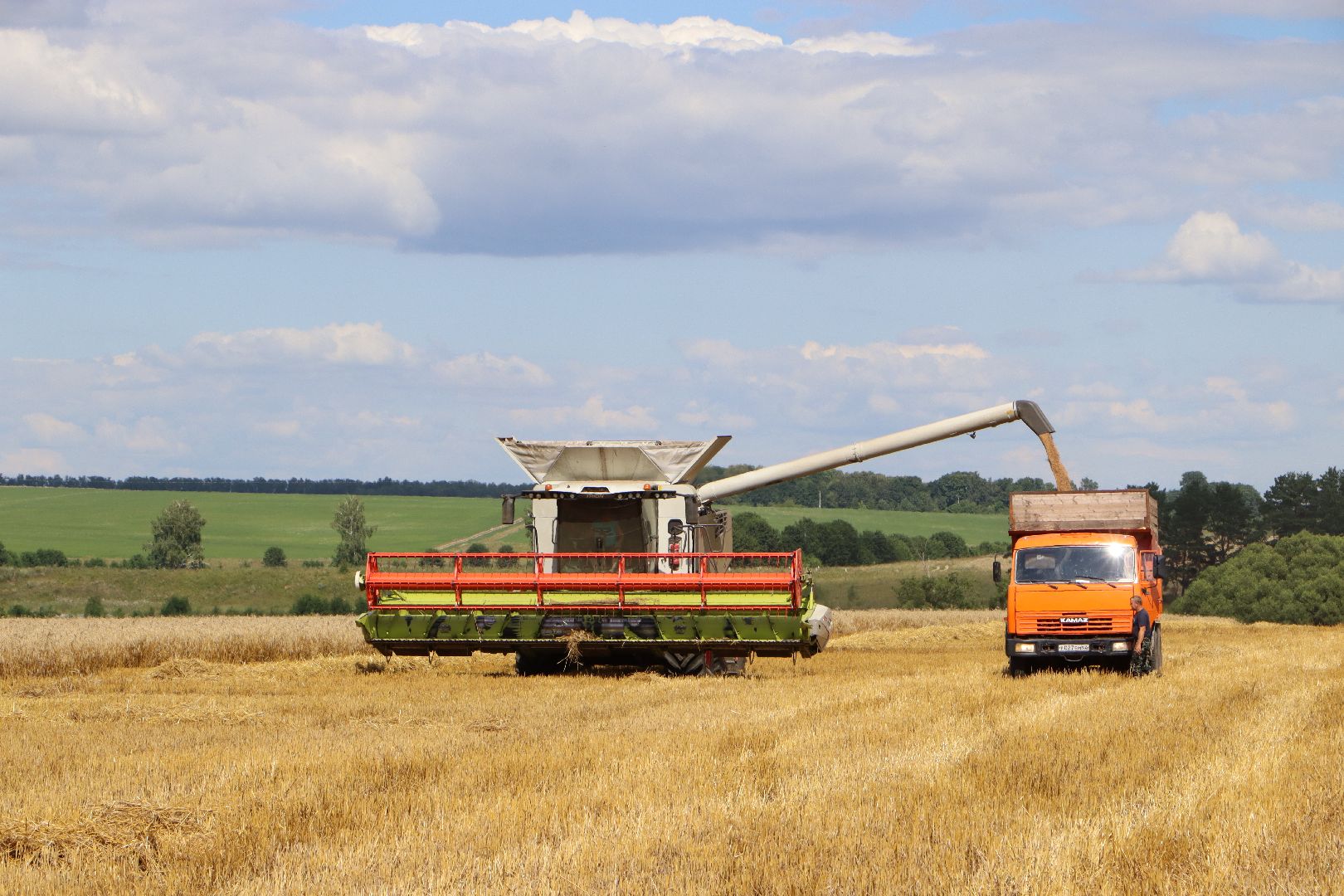 уборочная 2024, урожай 2024, Праздник Первого снопа, Серебряные Пруды, Коровино, СП Нива,