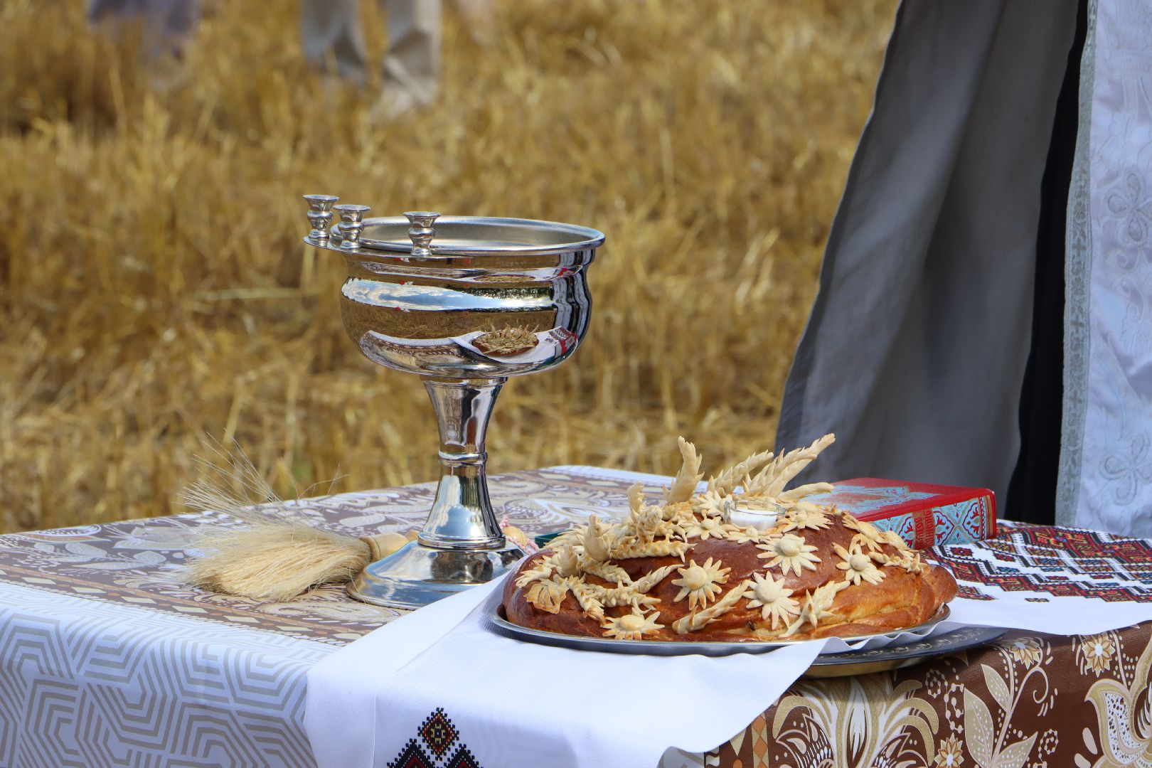 уборочная 2024, урожай 2024, Праздник Первого снопа, Серебряные Пруды, Коровино, СП Нива,