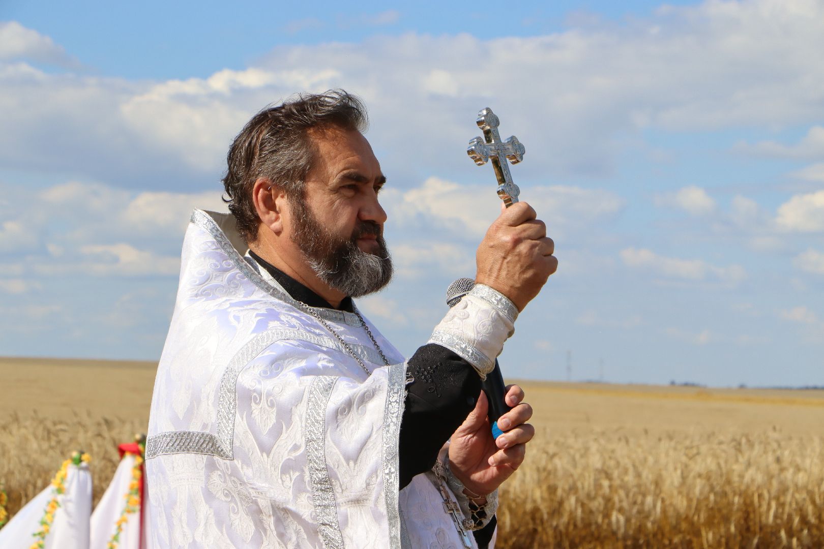 уборочная 2024, урожай 2024, Праздник Первого снопа, Серебряные Пруды, Коровино, СП Нива,