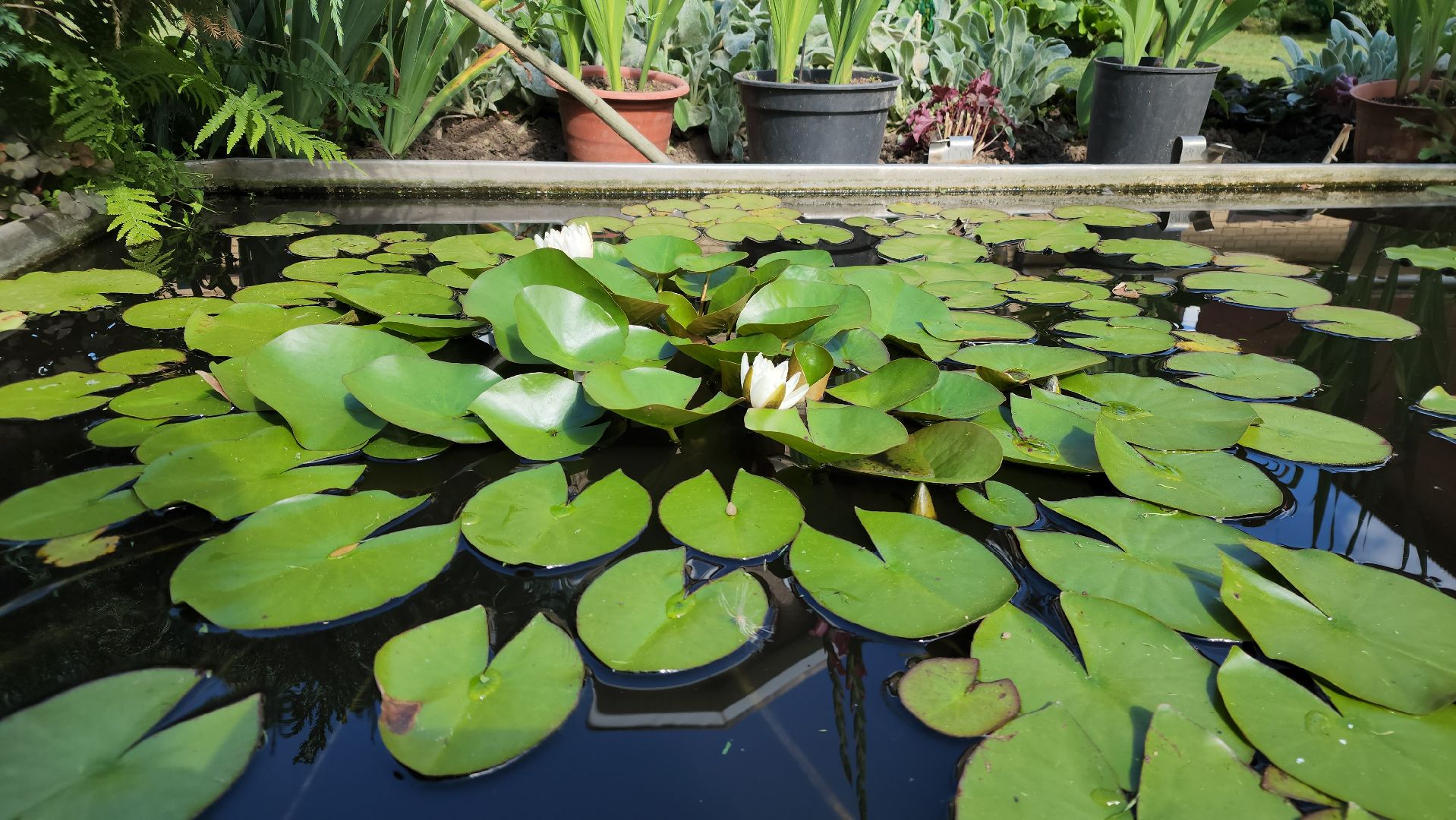 хобби, пасека, ступино,