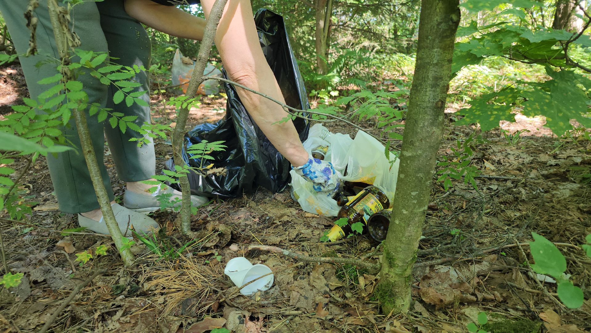 экологическая акция, уборка леса, Активное долголетие, Старая Купавна, Богородский городской округ,