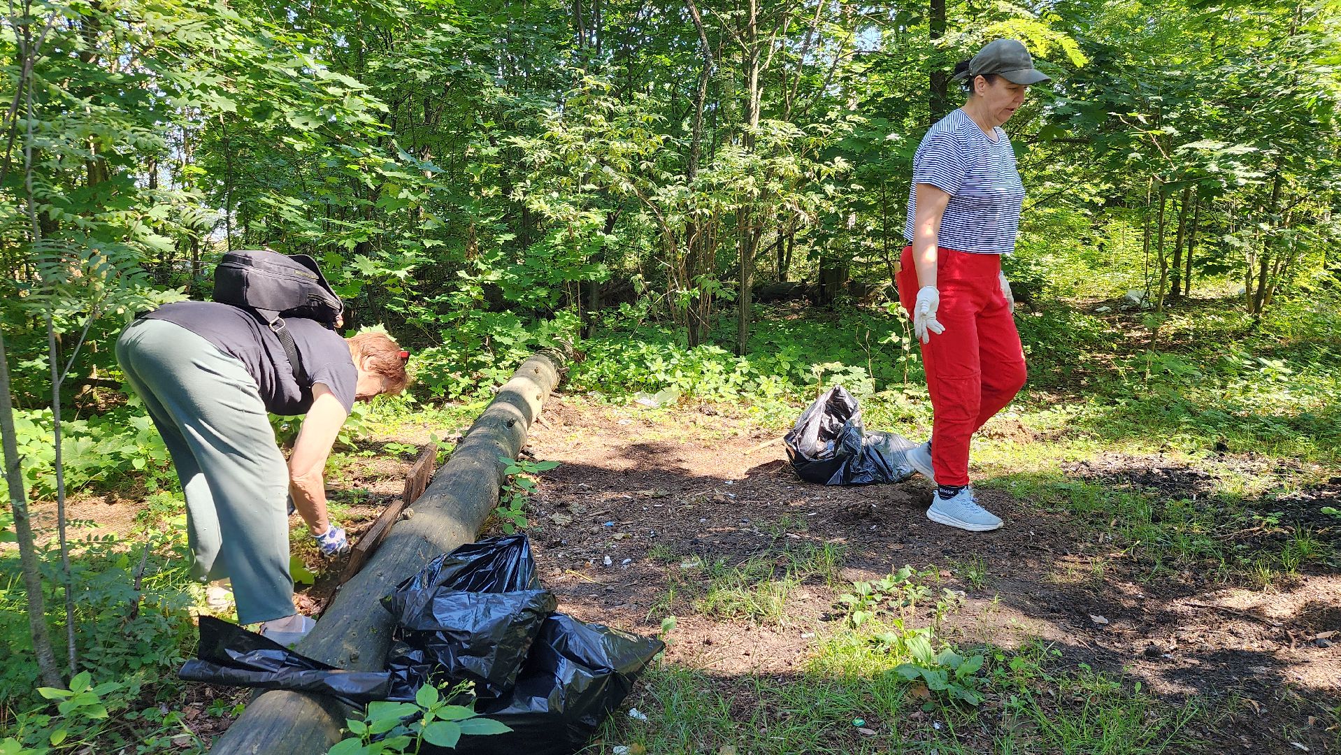 экологическая акция, уборка леса, Активное долголетие, Старая Купавна, Богородский городской округ,