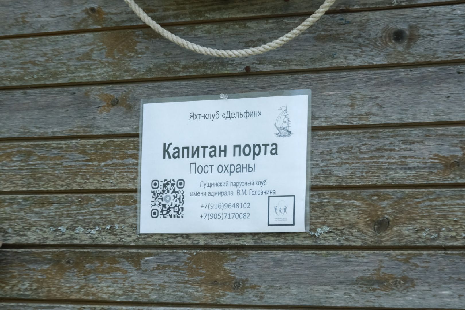 пущино, серпухов, лето в подмосковье, нко,