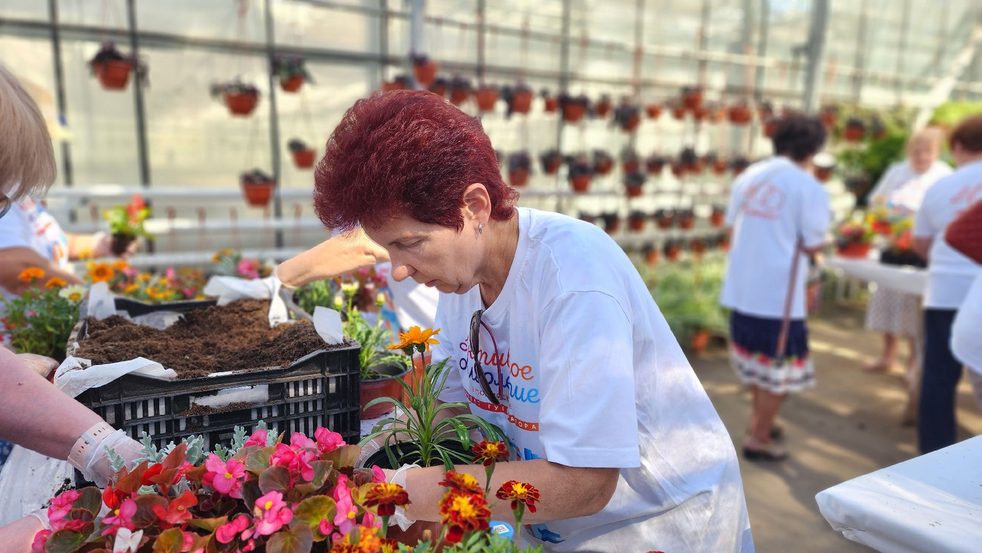 активное долголетие, мастер-класс, экскурсия,