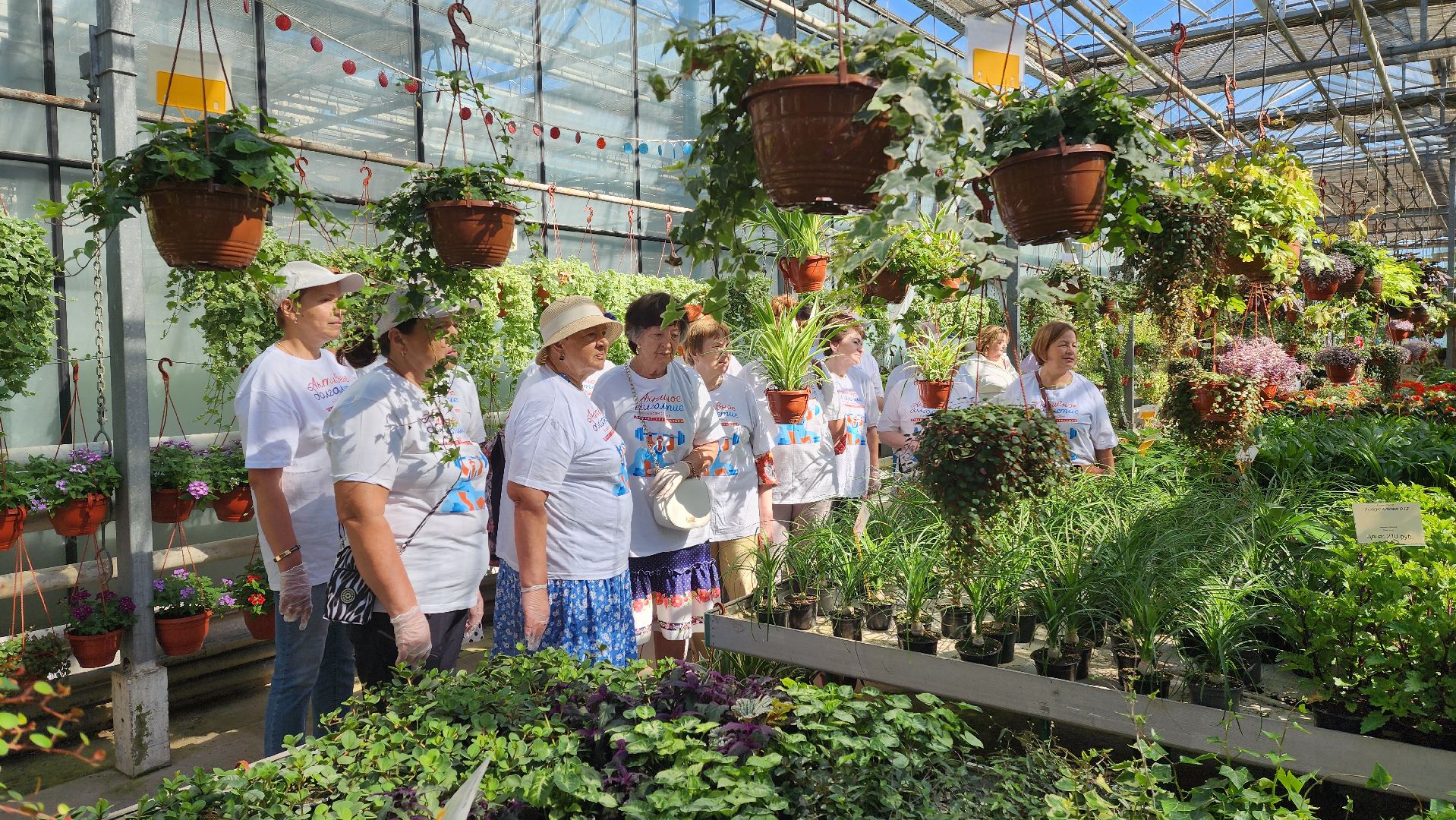 активное долголетие, мастер-класс, экскурсия,