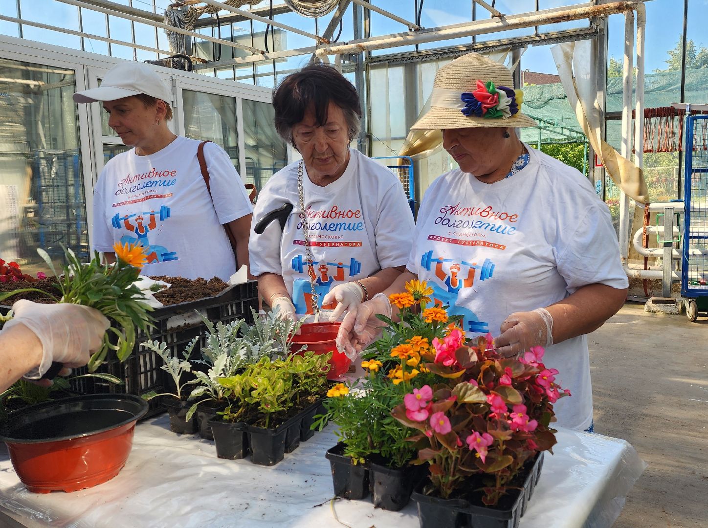 активное долголетие, мастер-класс, экскурсия,